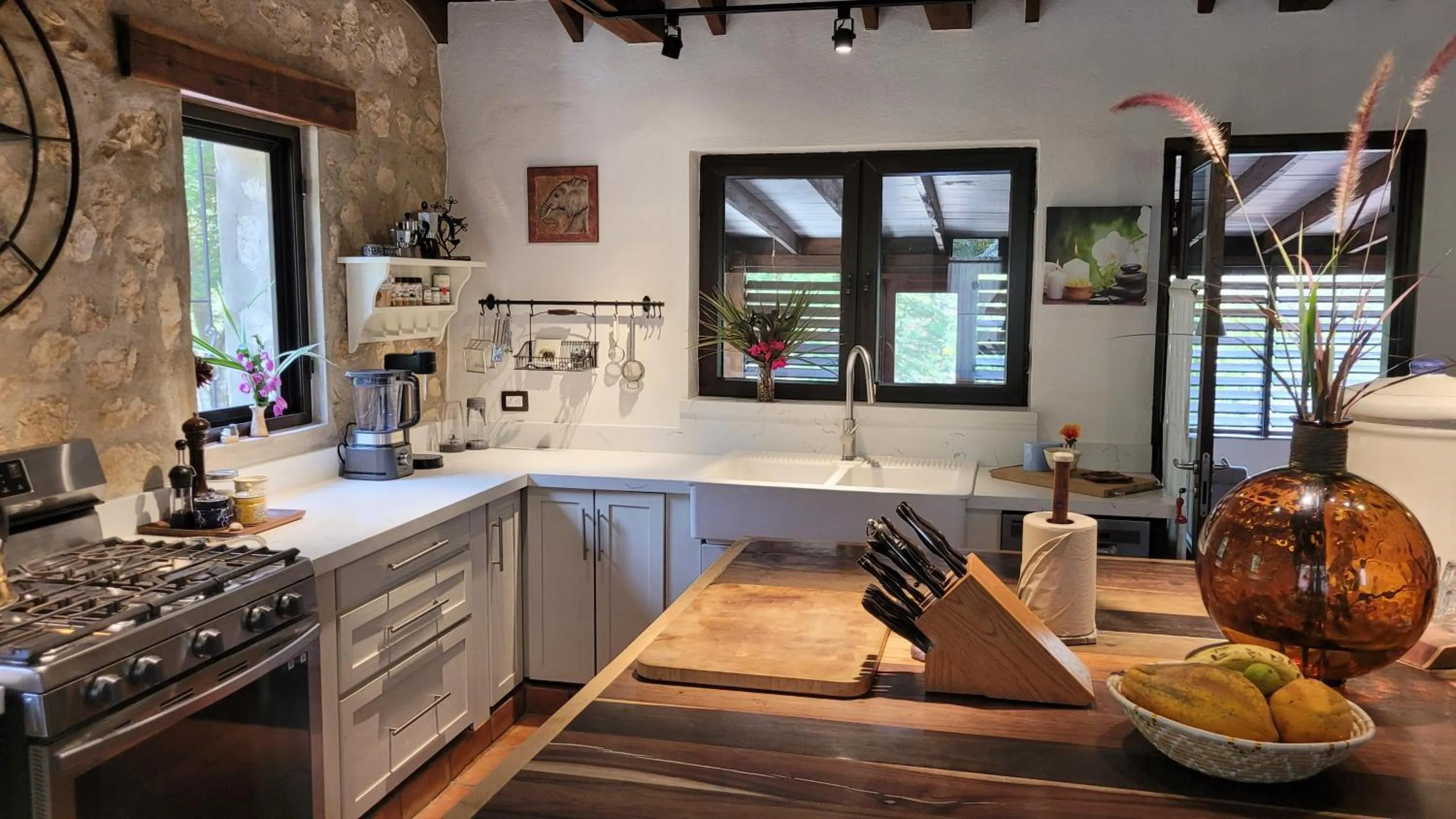 kitchen in Sattva Land