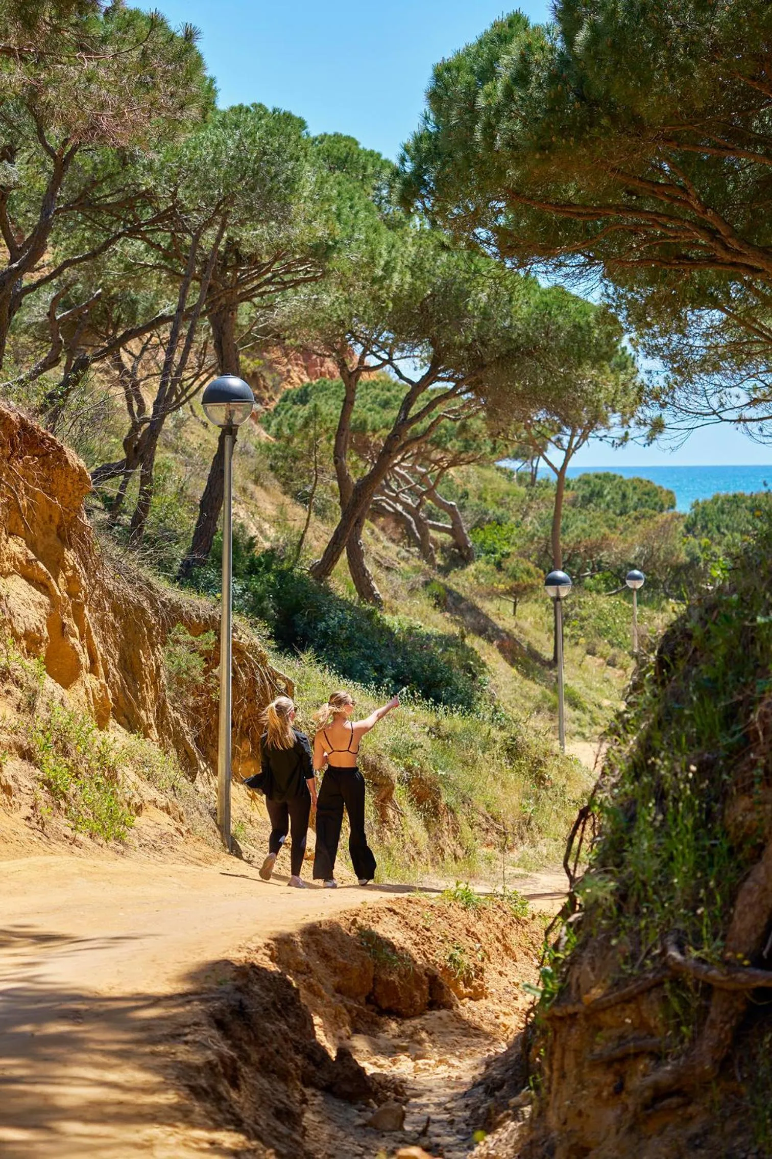 Natural landscape in PortoBay Falesia
