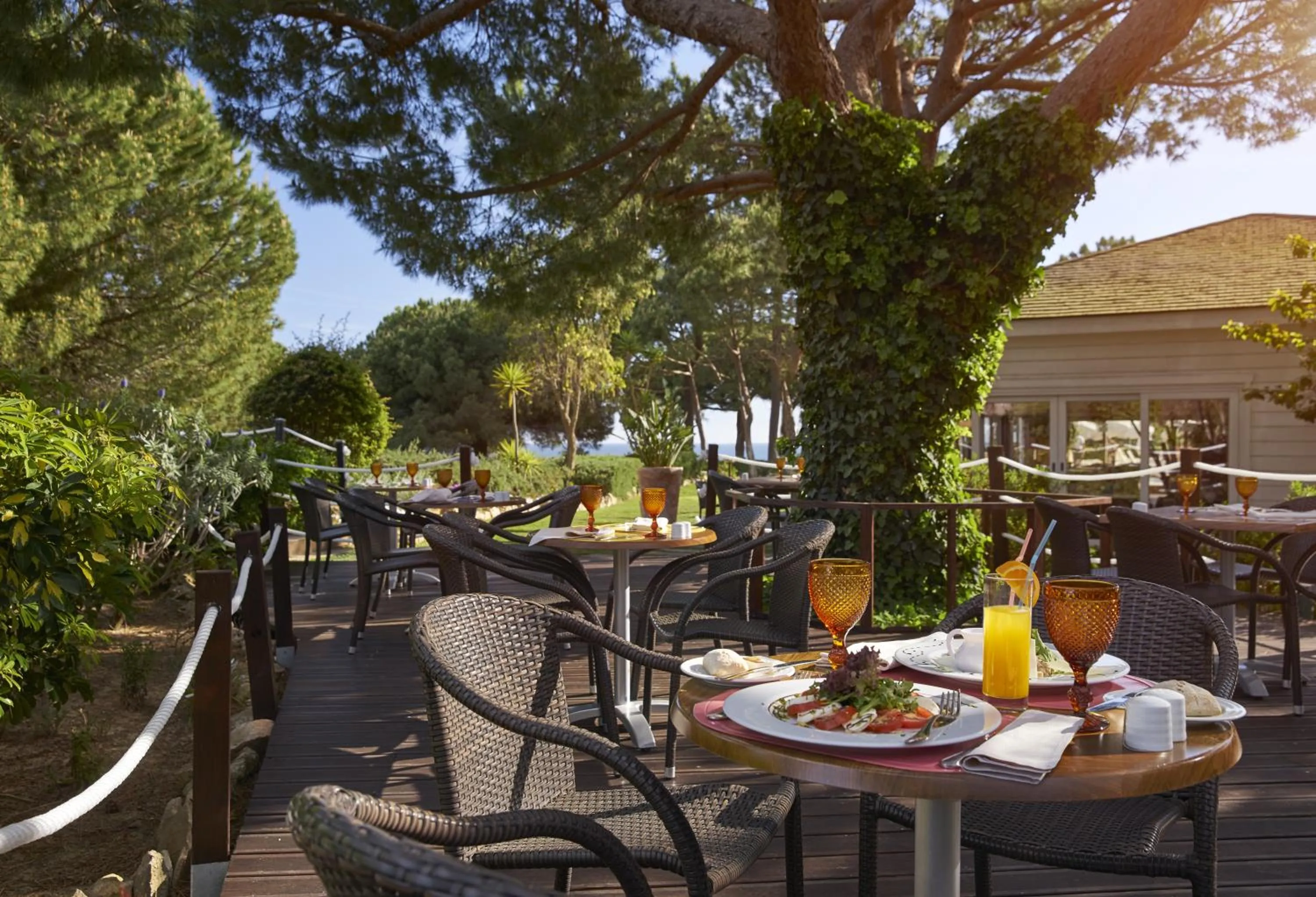 Restaurant/places to eat in PortoBay Falesia