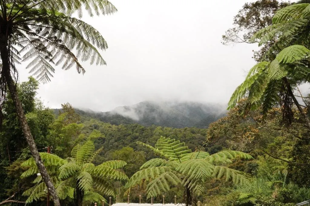 Natural landscape in Ayana Holiday Resort
