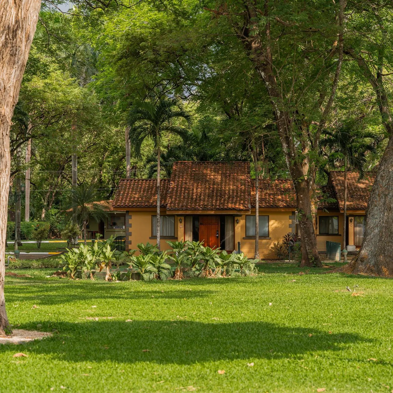 Garden in CC Beach Front Papagayo All Inclusive