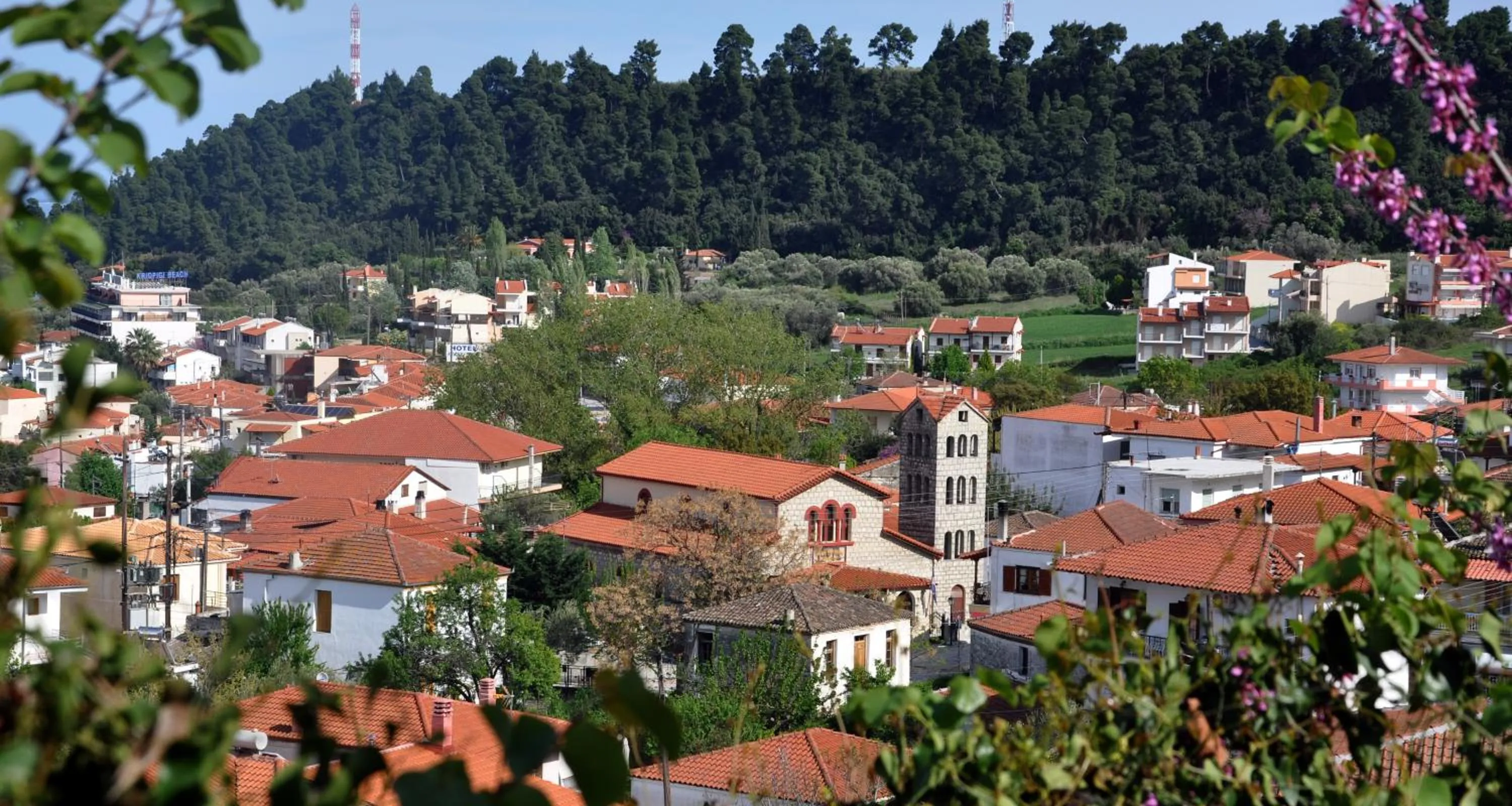 Natural landscape in Hotel Pighi
