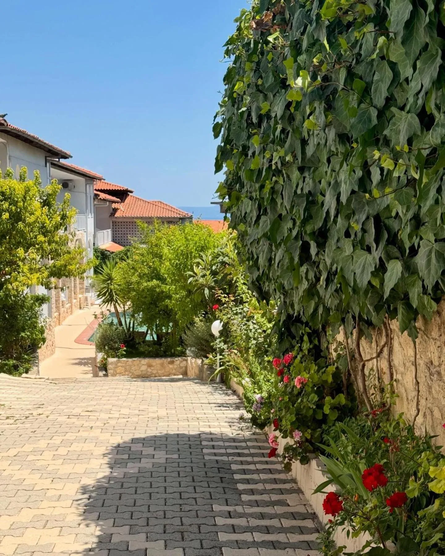 Property building in Hotel Pighi