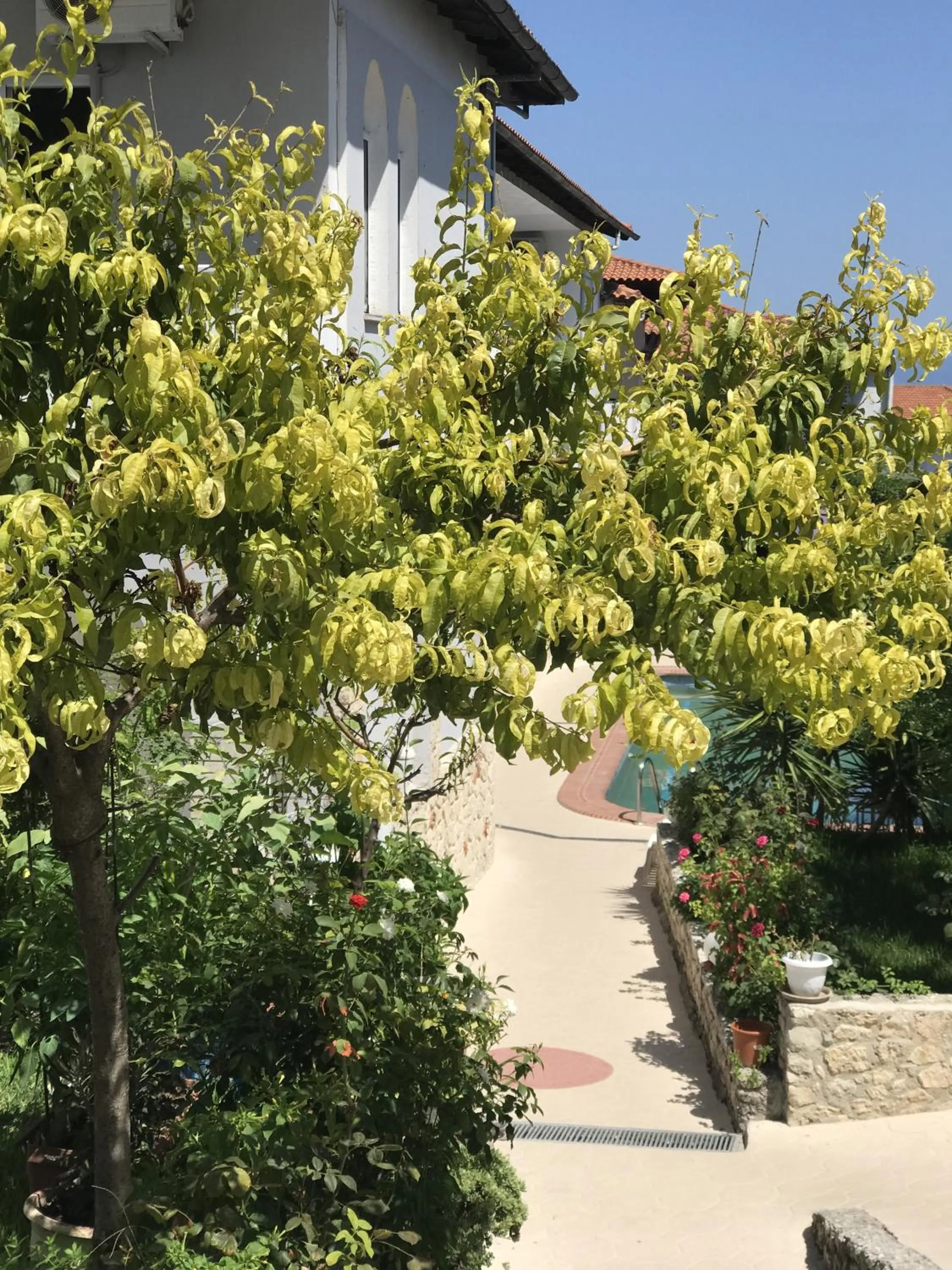 Property building in Hotel Pighi