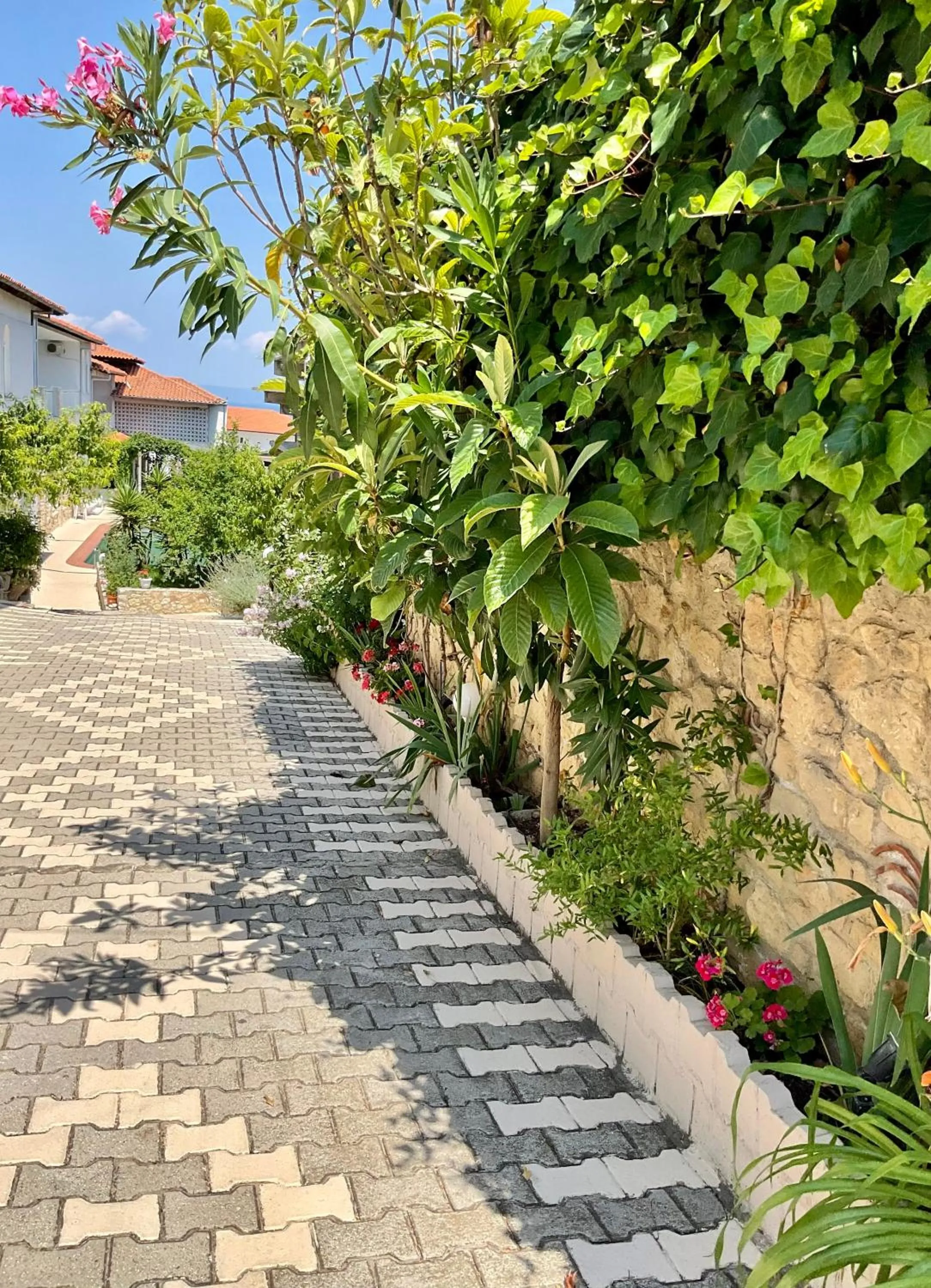 Facade/entrance in Hotel Pighi