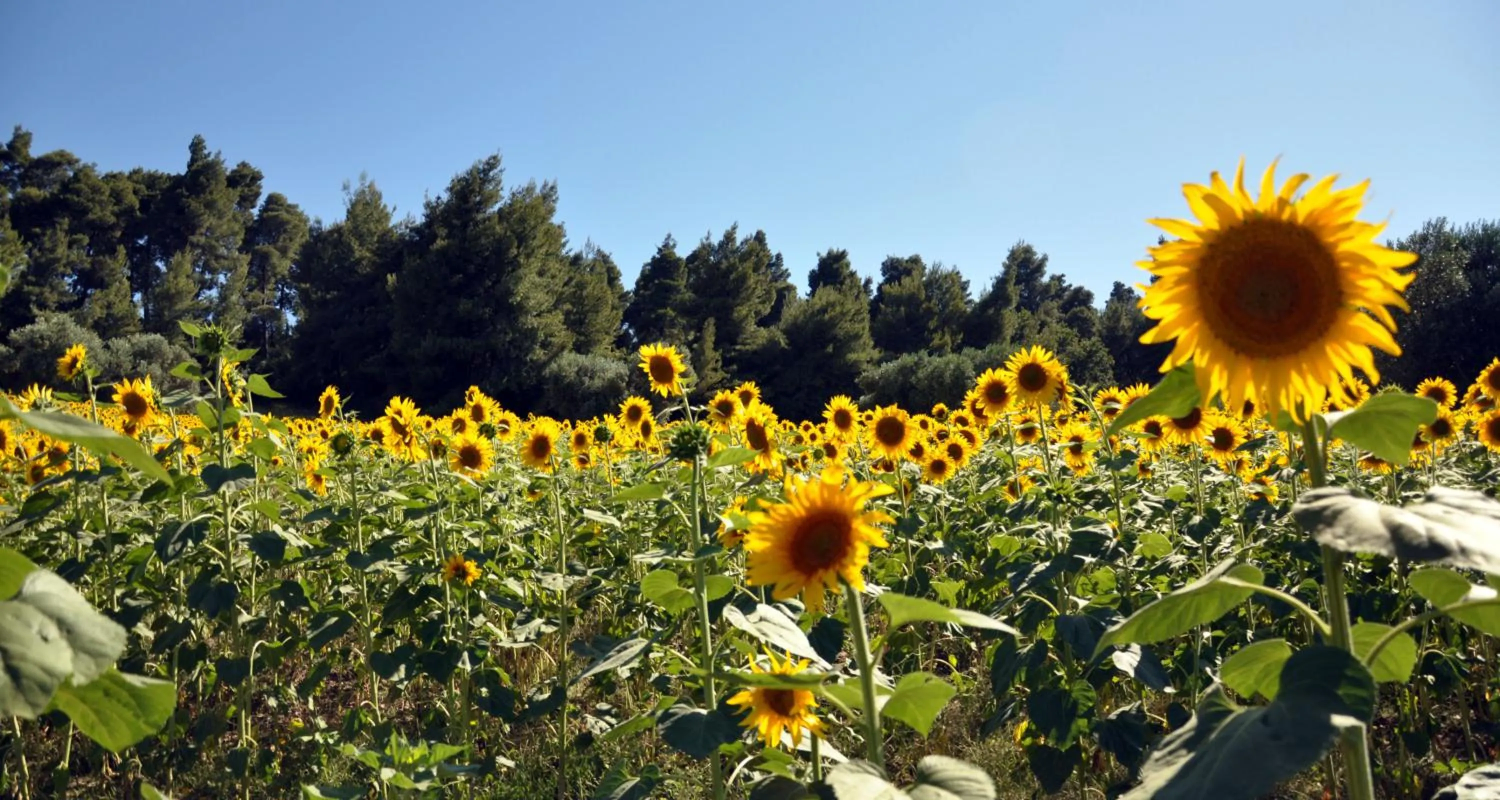 Other in Hotel Pighi