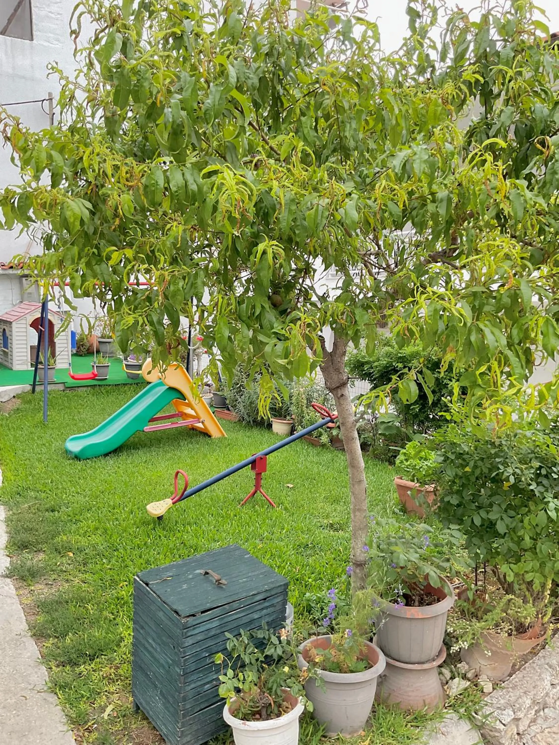 Children play ground in Hotel Pighi