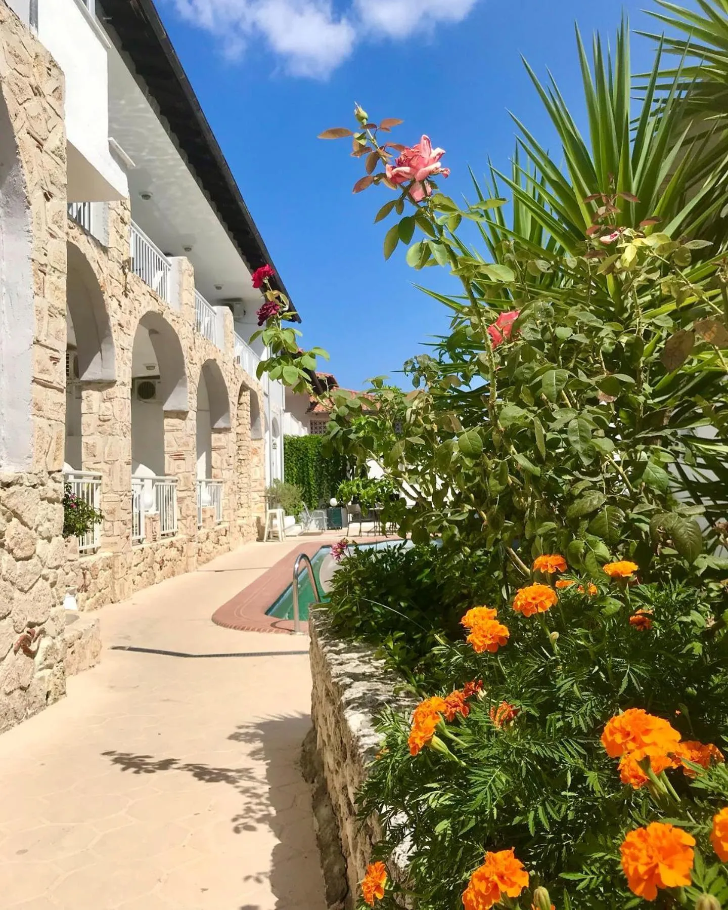 Property building in Hotel Pighi