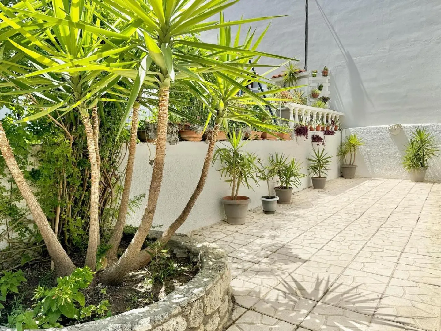 Garden in Hotel Pighi