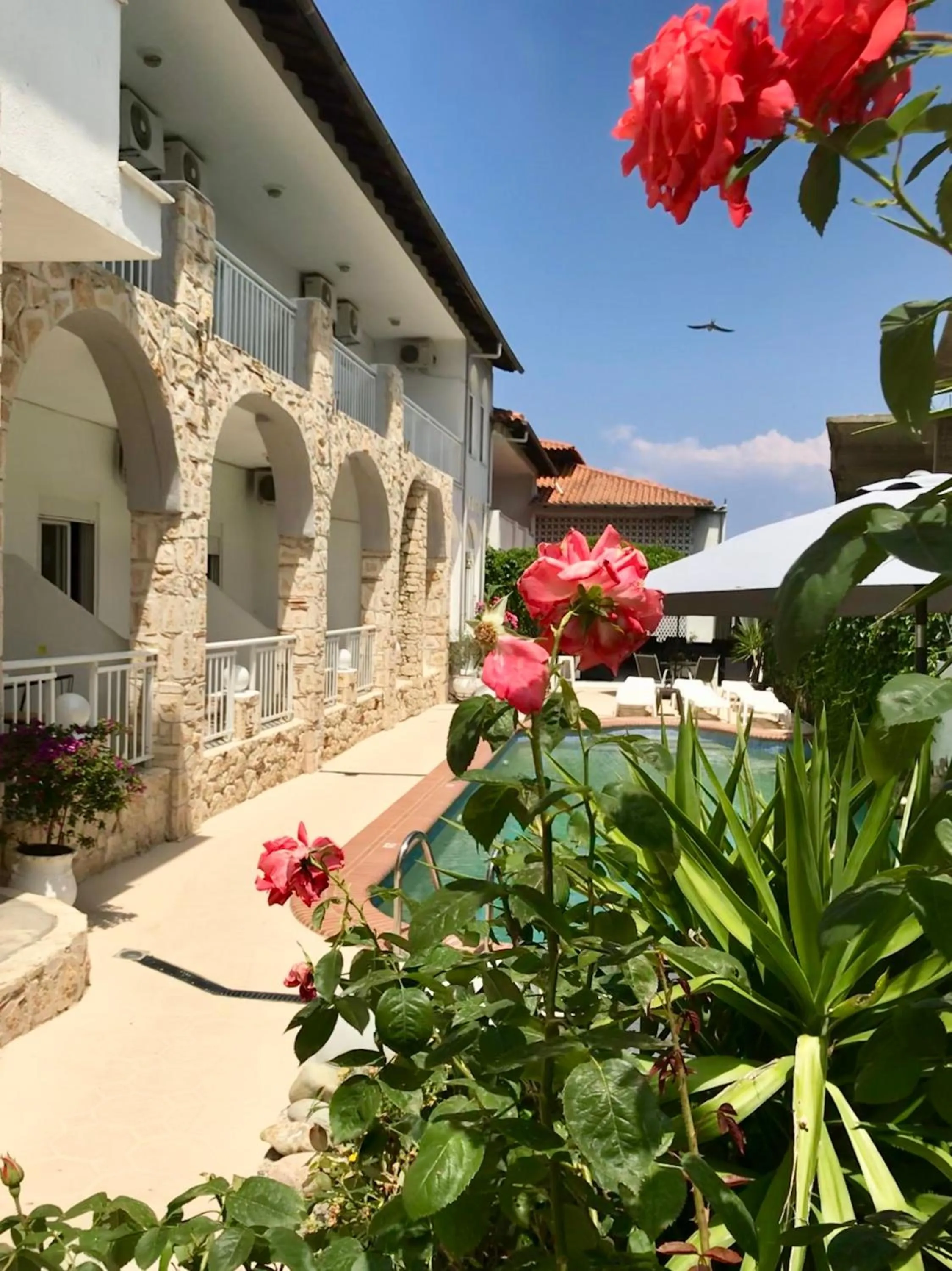 Property building in Hotel Pighi