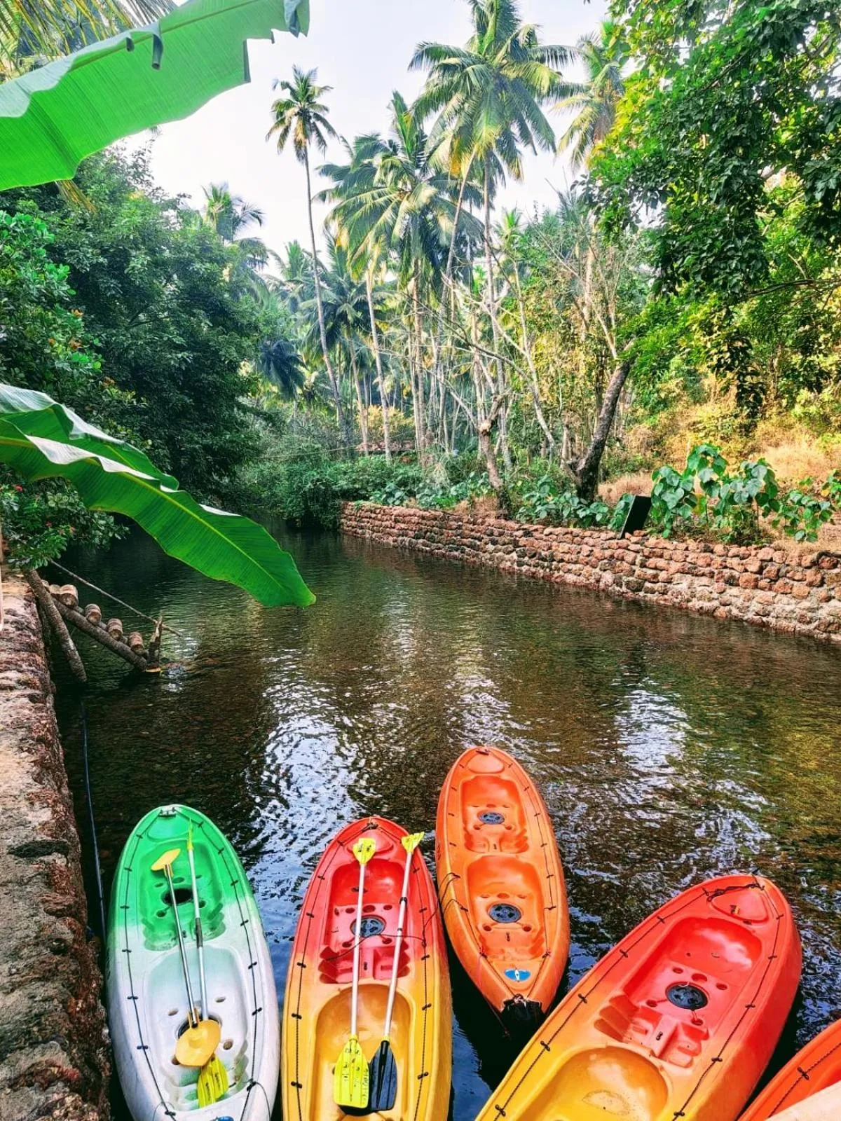 View (from property/room) in Samyama Retreat
