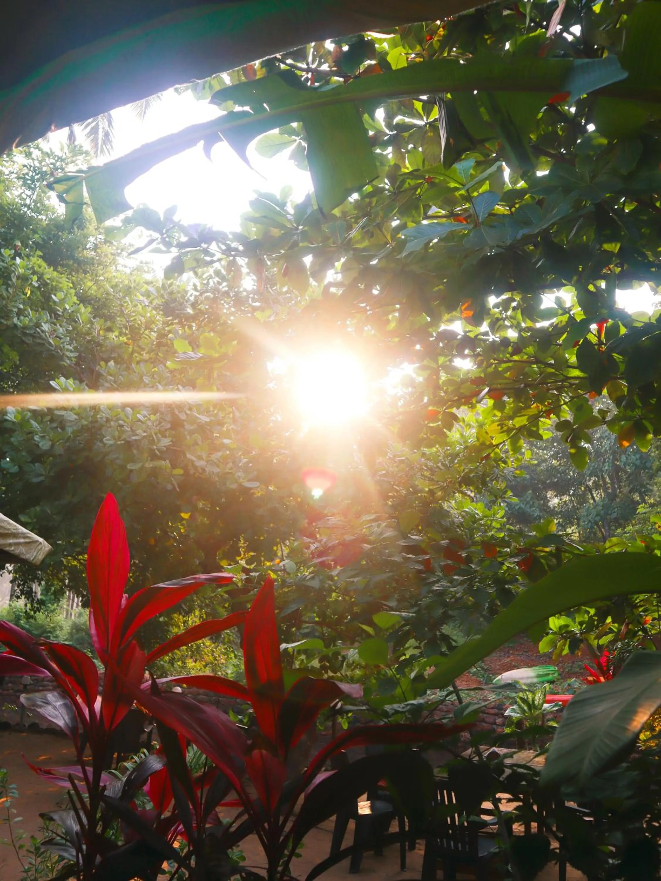 Spring in Samyama Retreat