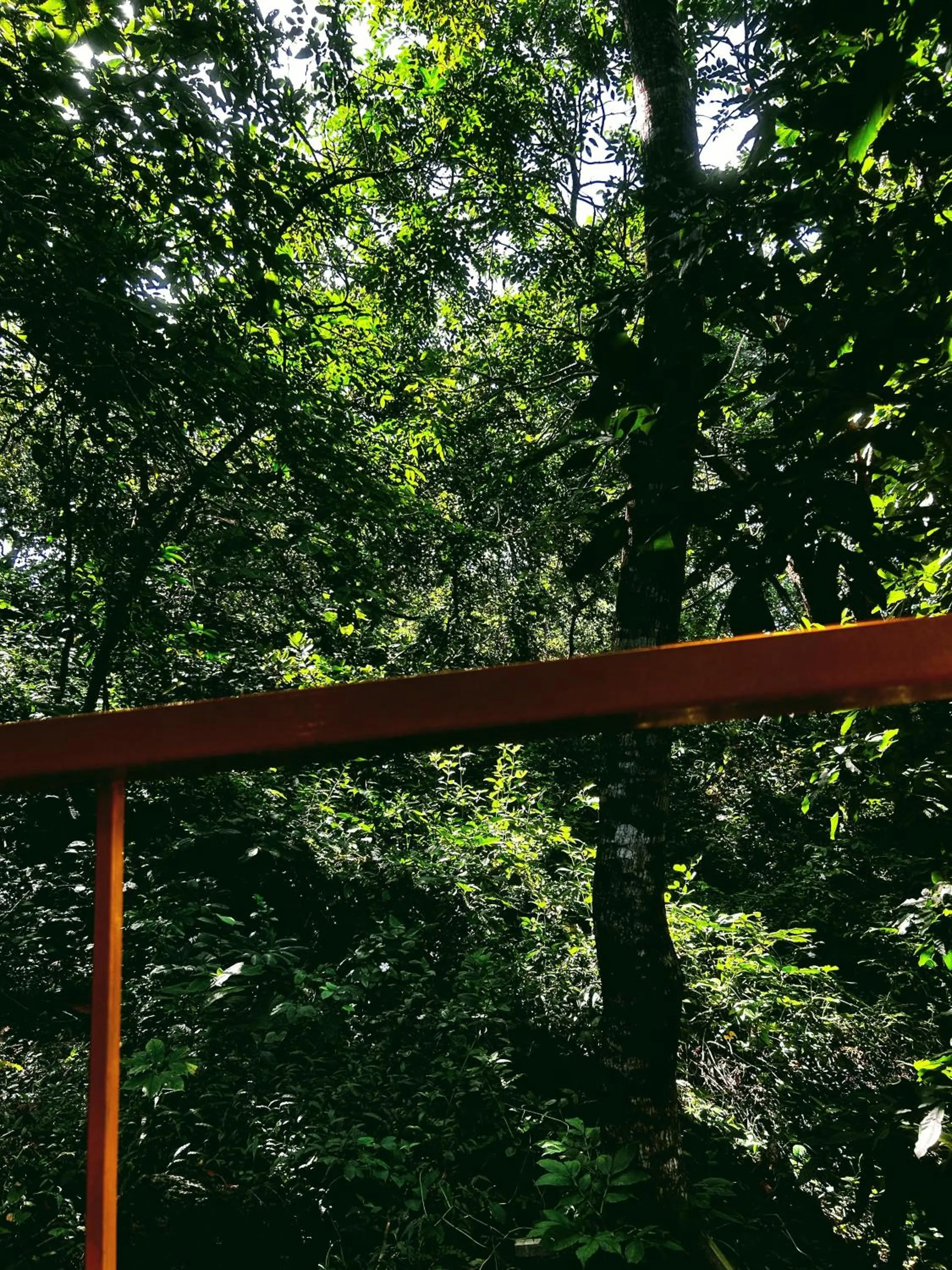 Balcony/Terrace in Samyama Retreat