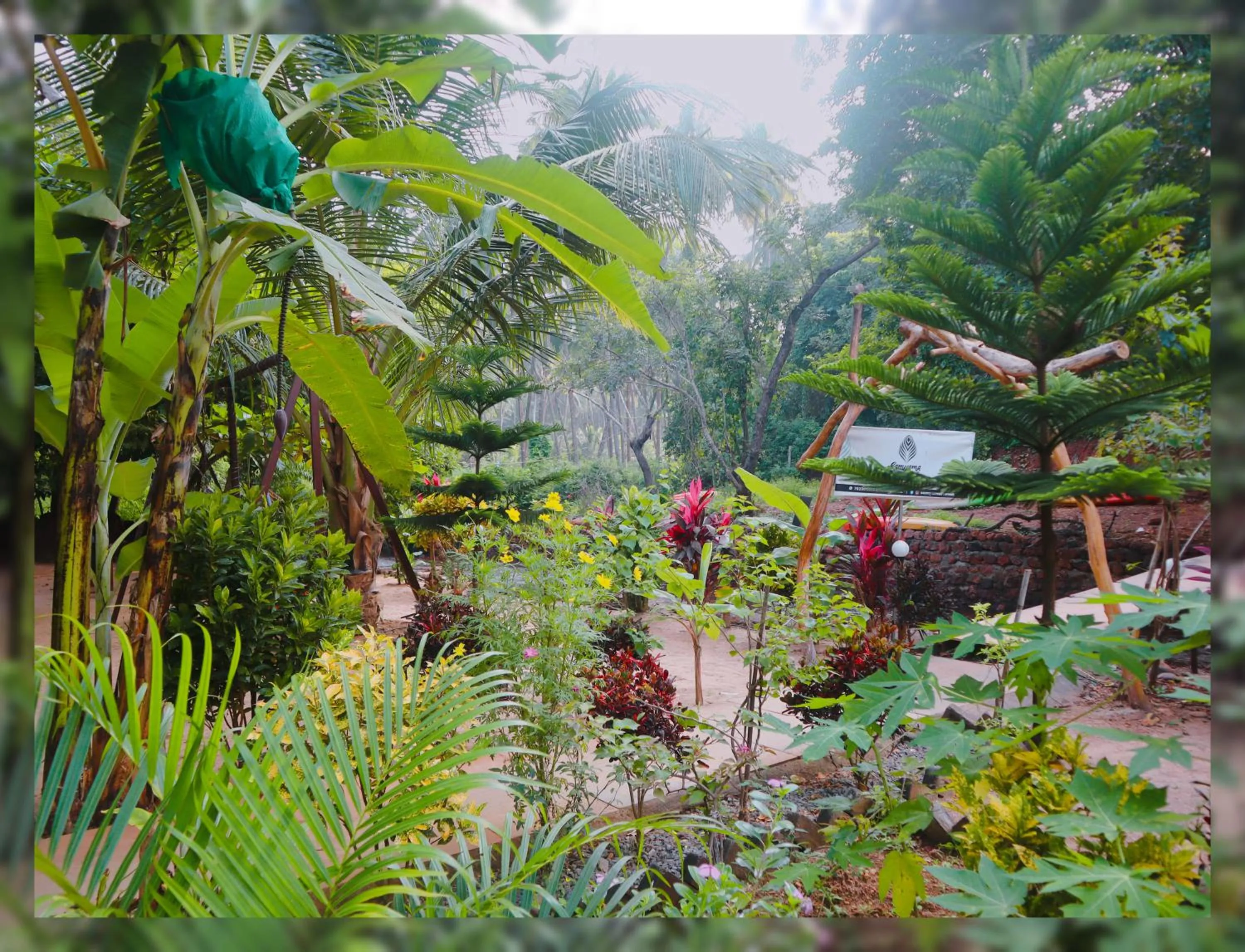 Natural landscape in Samyama Retreat