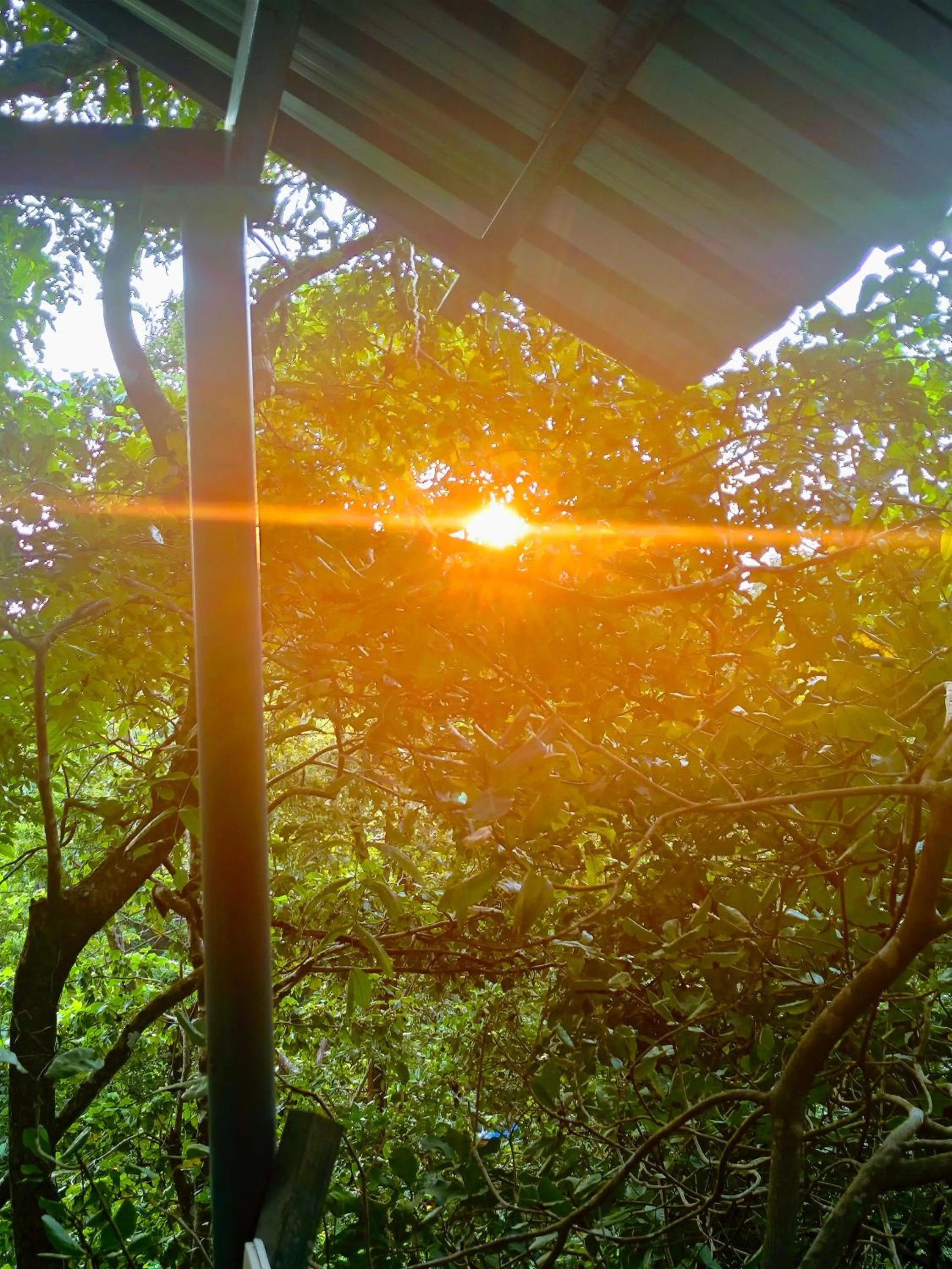 View (from property/room) in Samyama Retreat