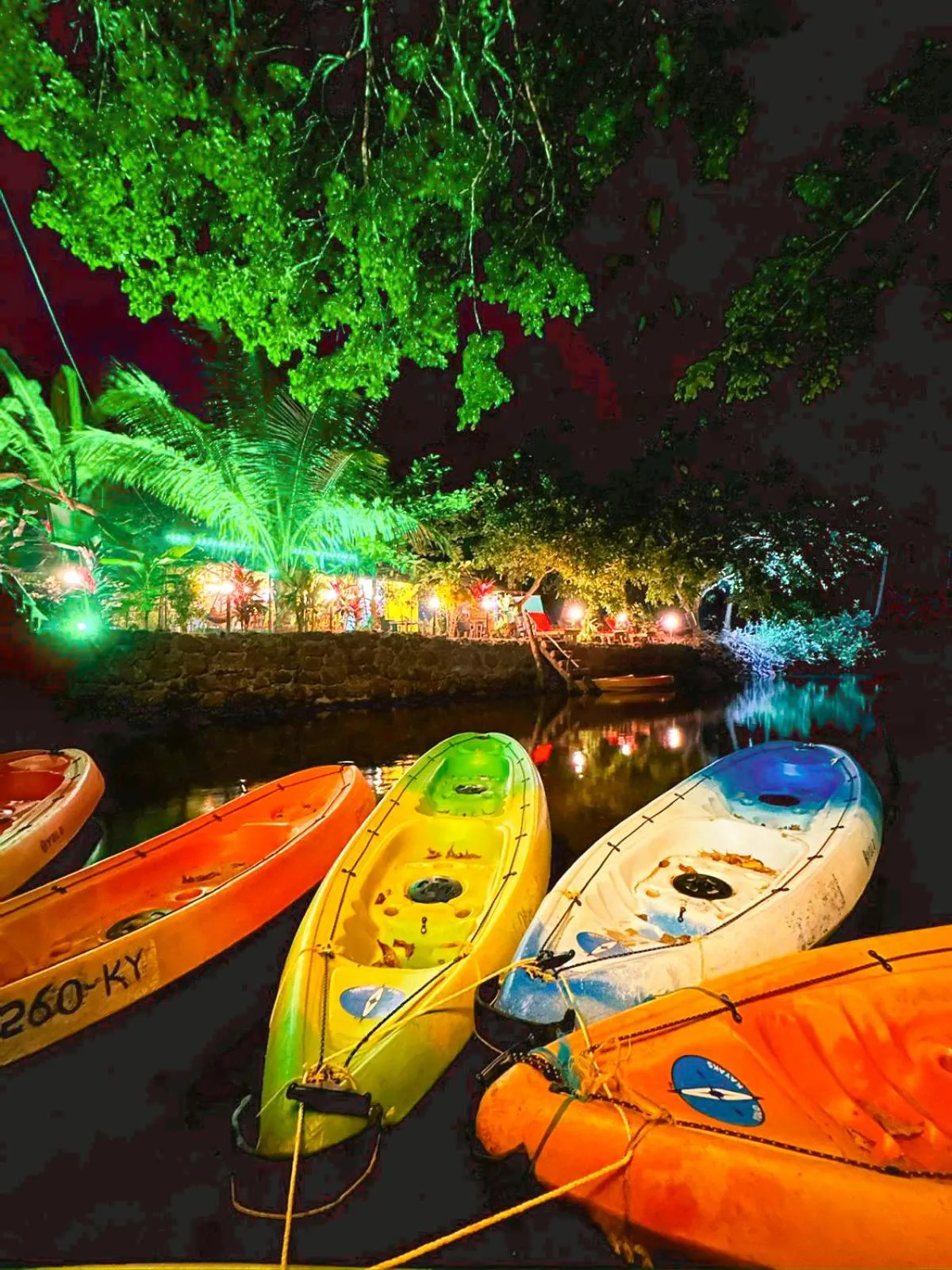 Night in Samyama Retreat