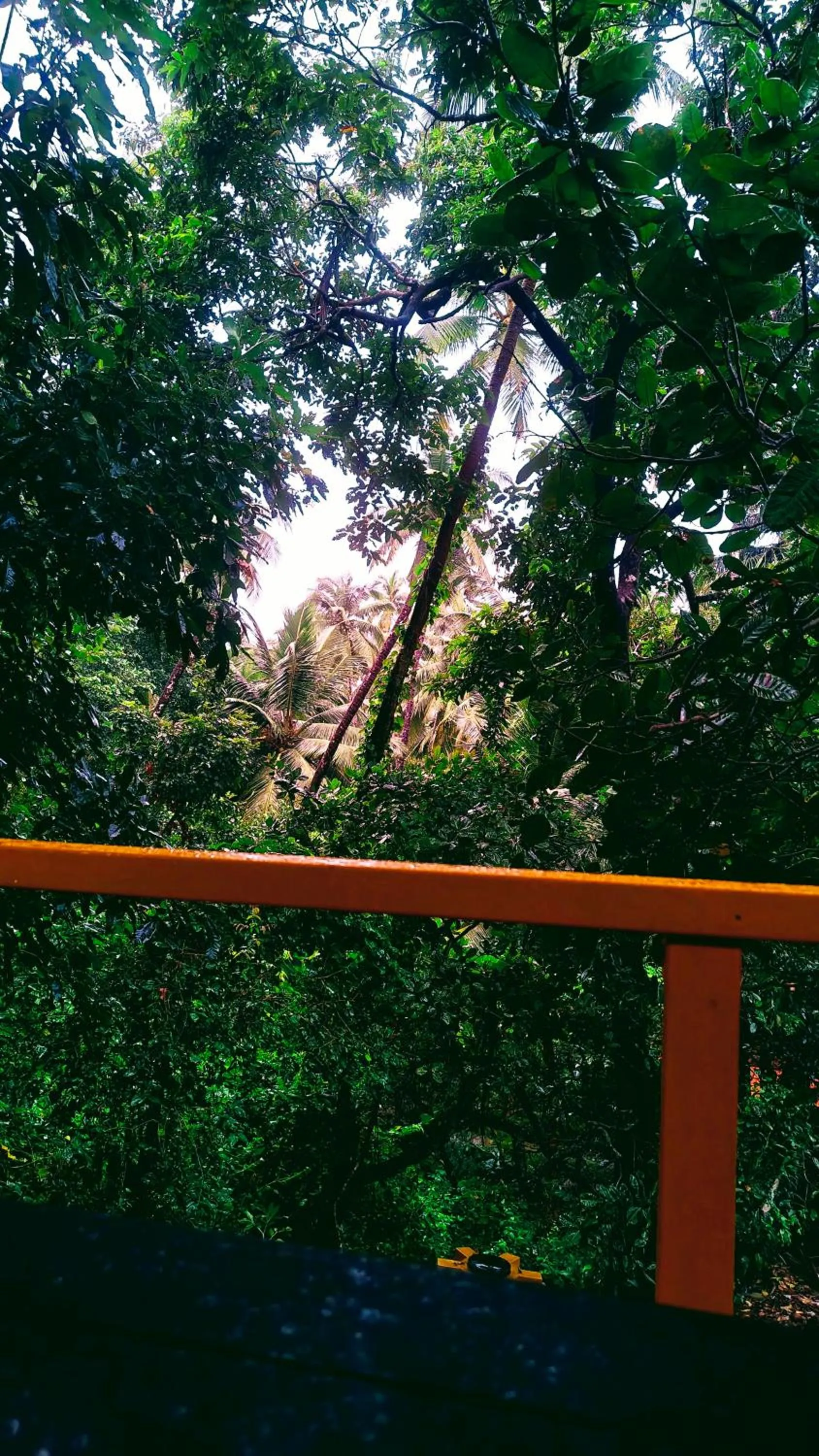 View (from property/room) in Samyama Retreat