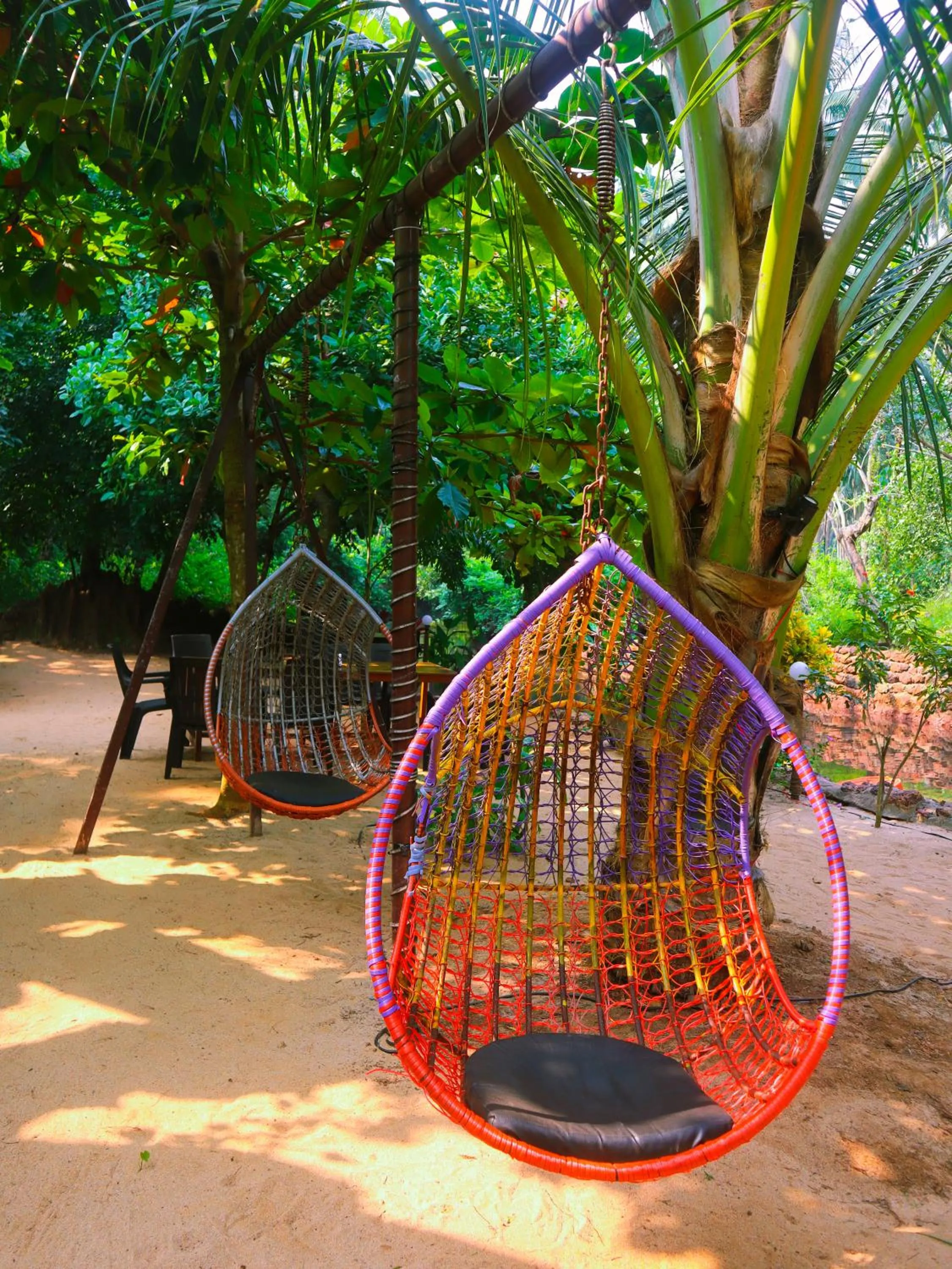 Day in Samyama Retreat