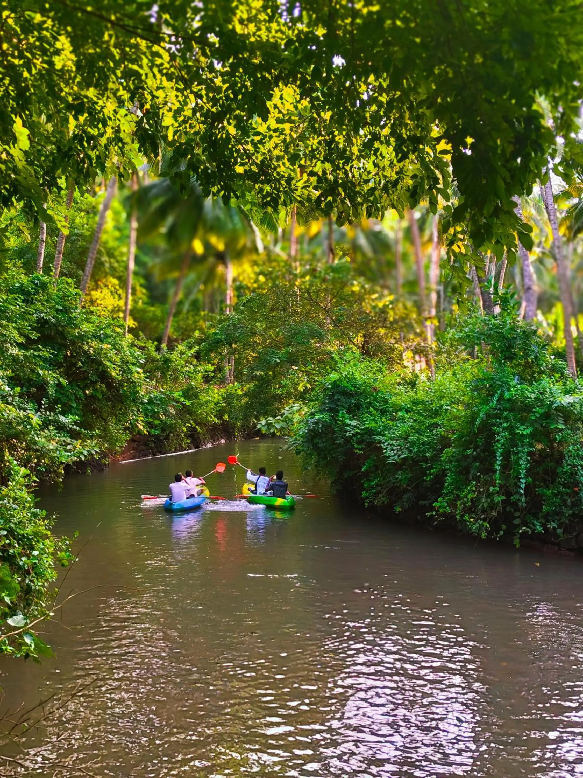 Day in Samyama Retreat