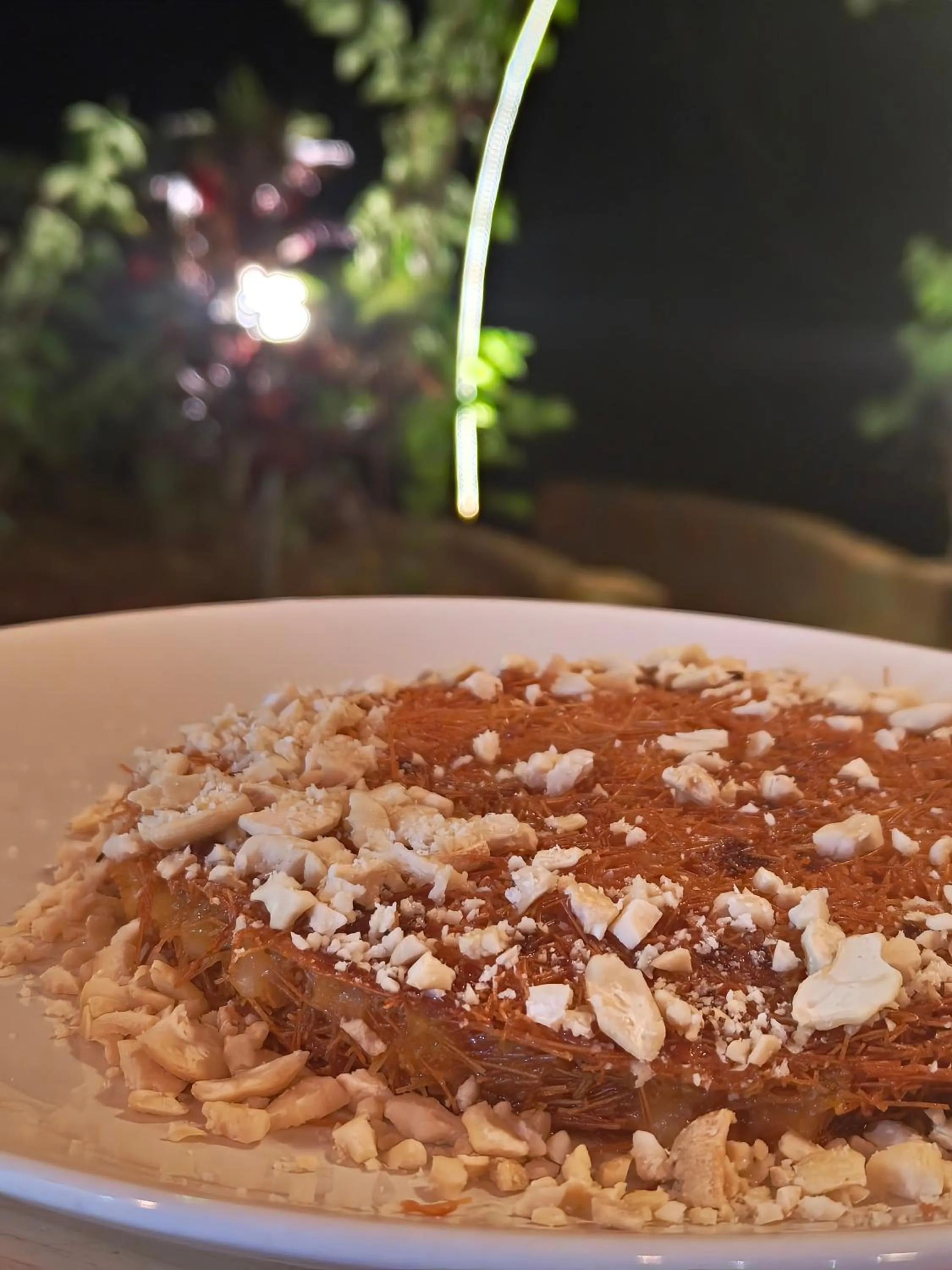 Food close-up in Samyama Retreat