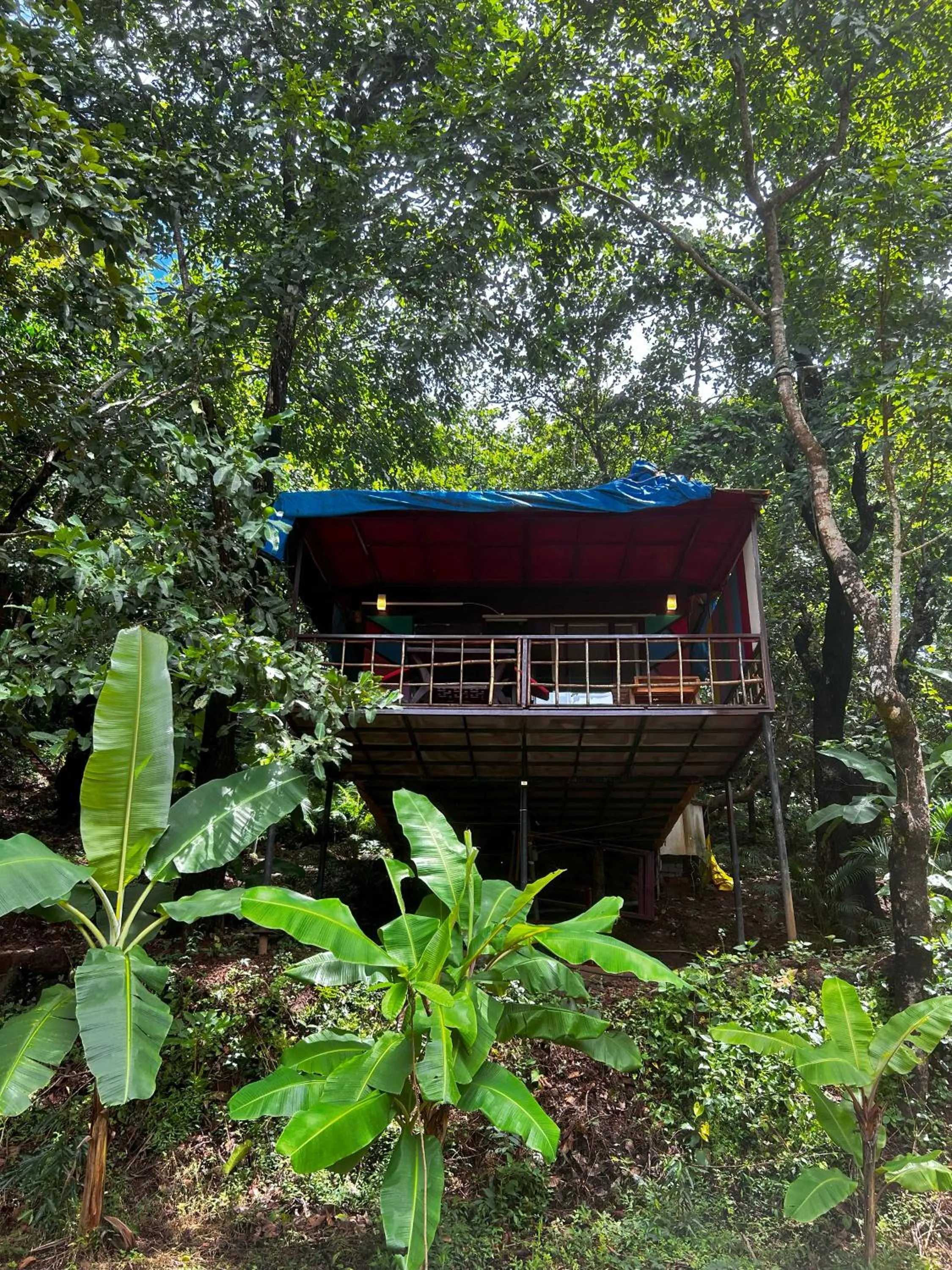 View (from property/room) in Samyama Retreat