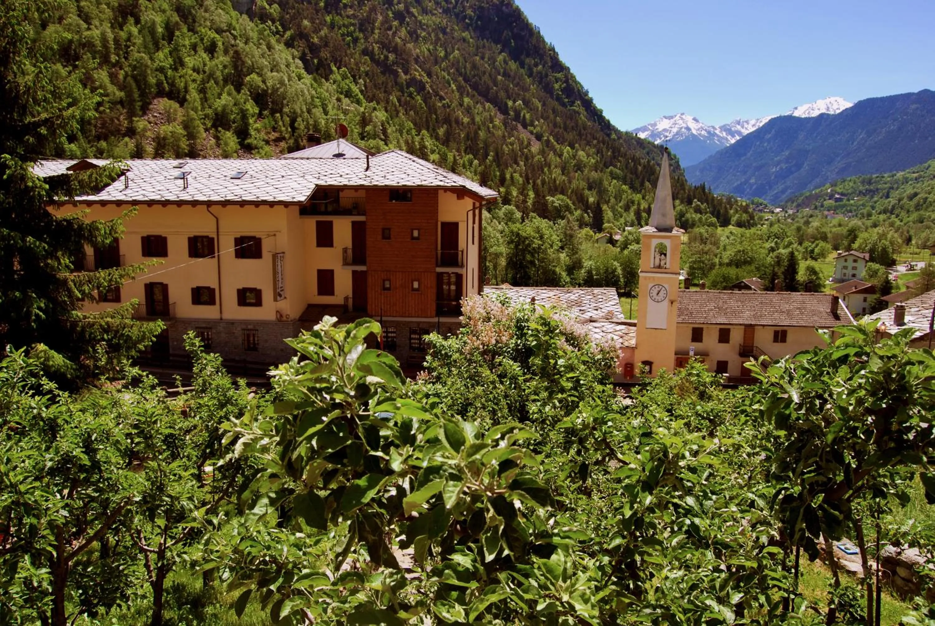 Facade/entrance in Residence Bellevue