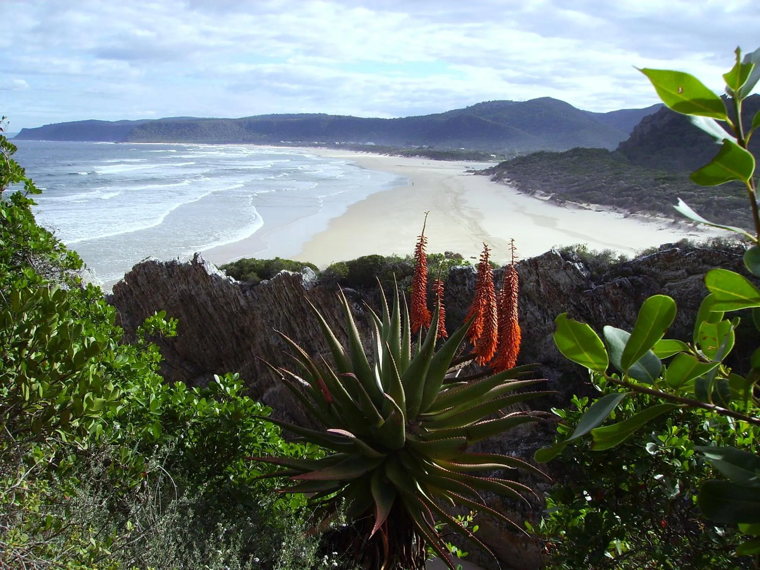 Natural landscape in Storms River Guest Lodge