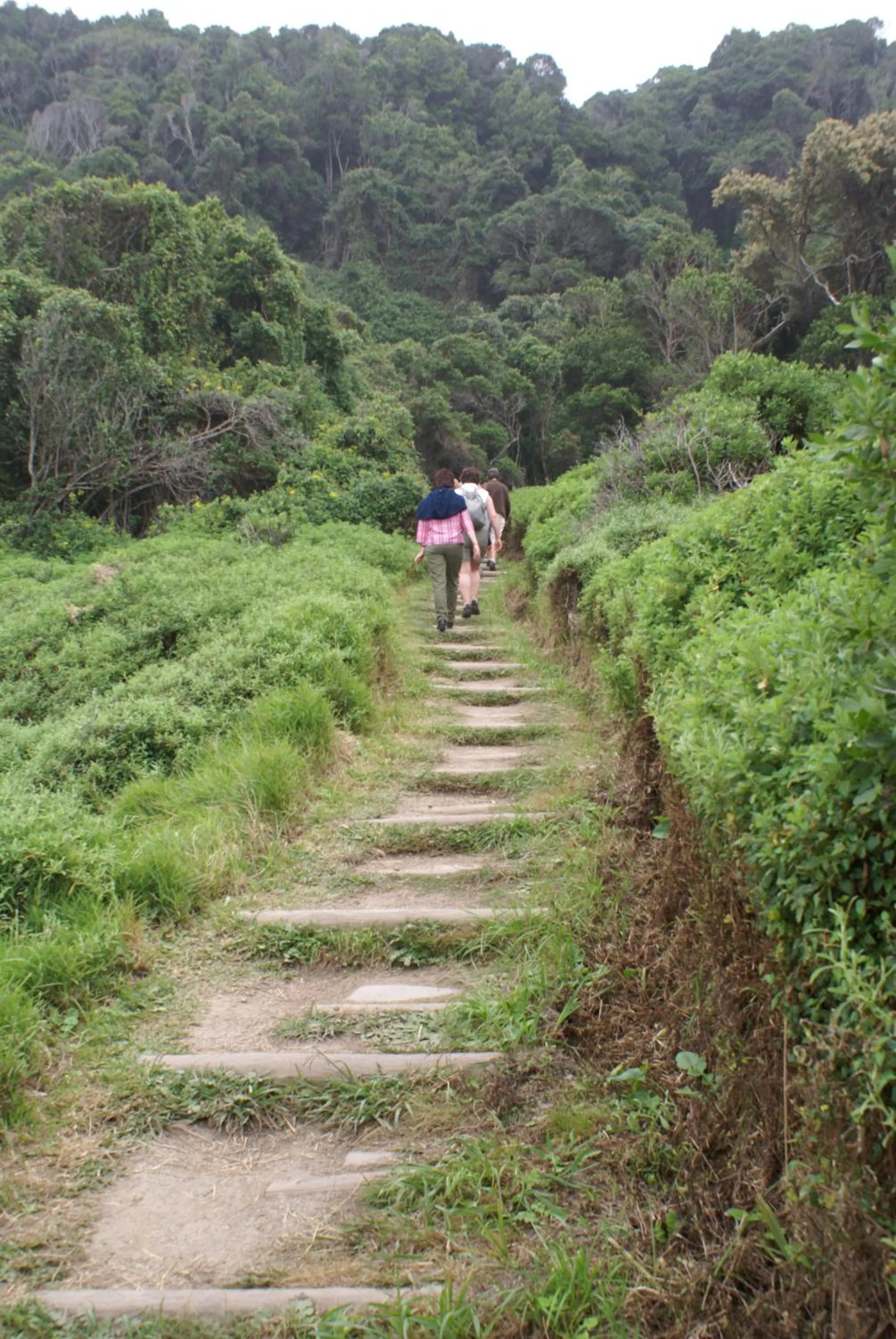 People in Storms River Guest Lodge