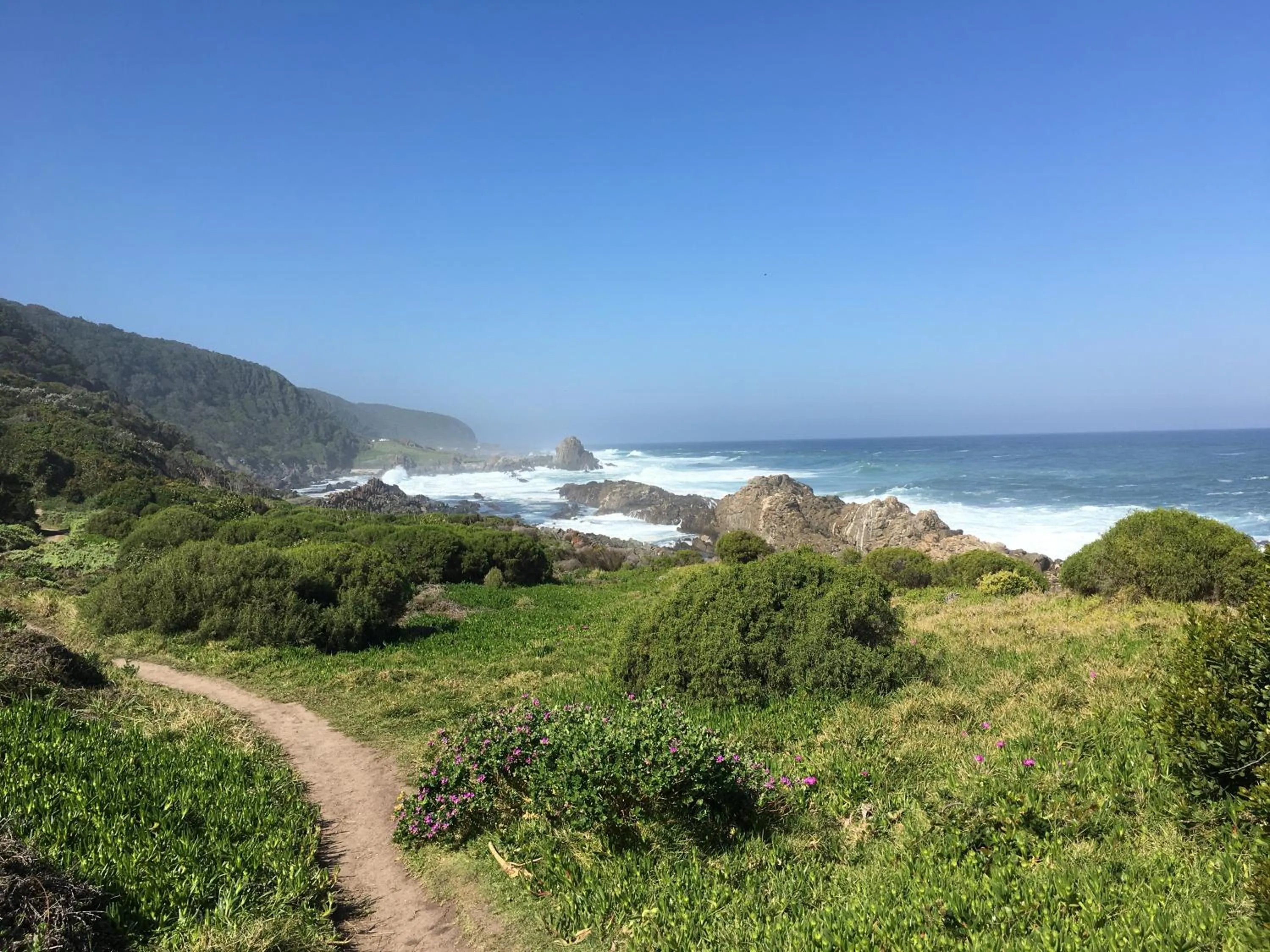Natural landscape in Storms River Guest Lodge