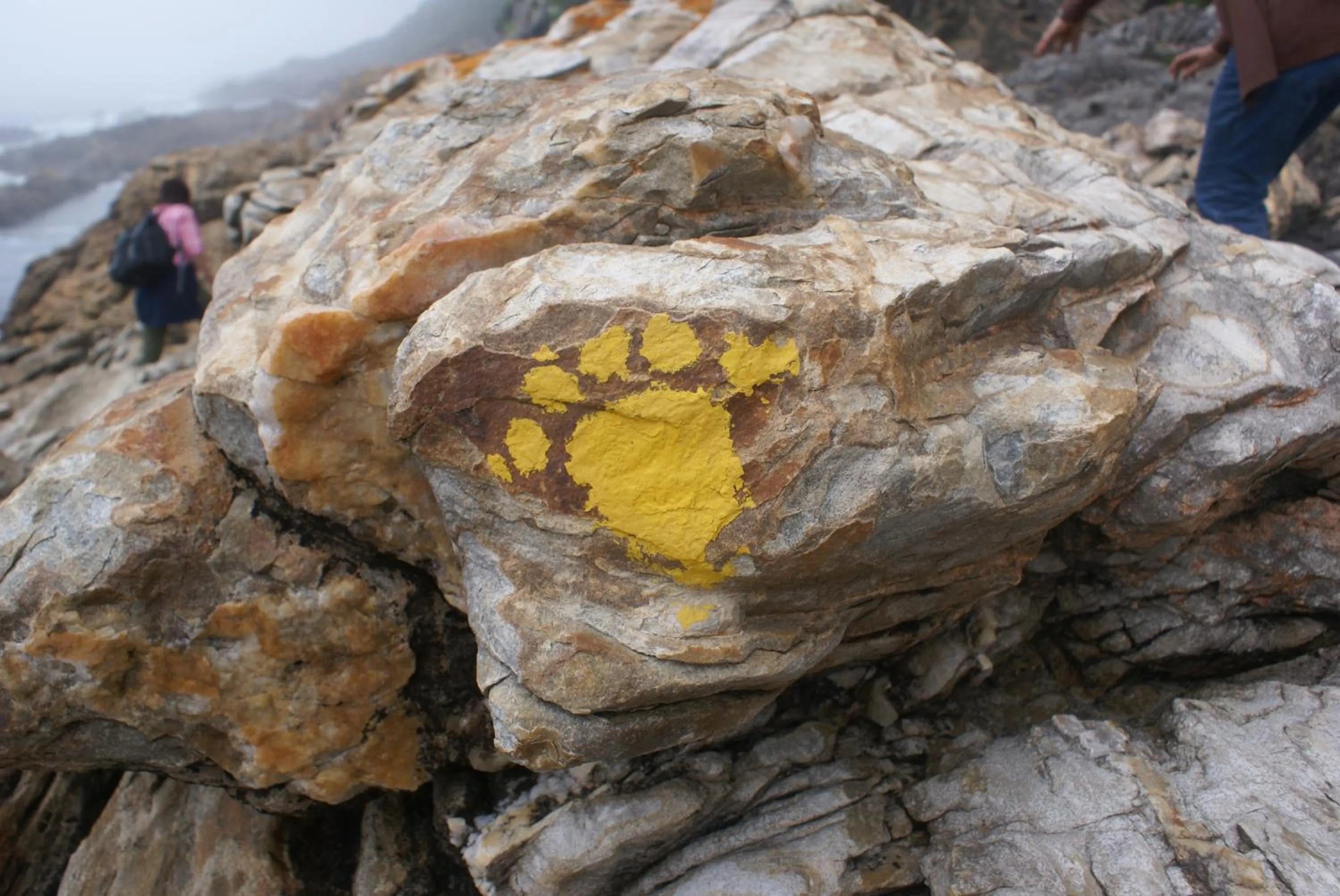 Natural landscape in Storms River Guest Lodge