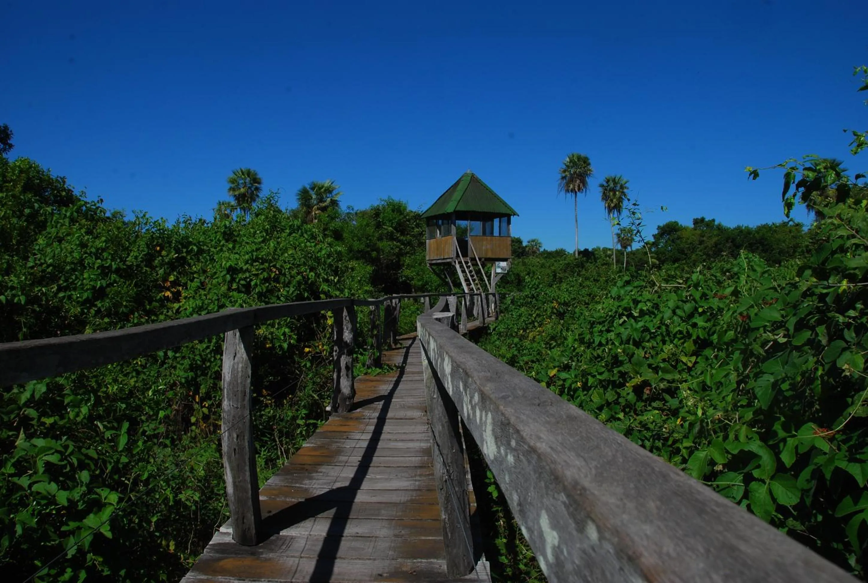 Fazenda San Francisco