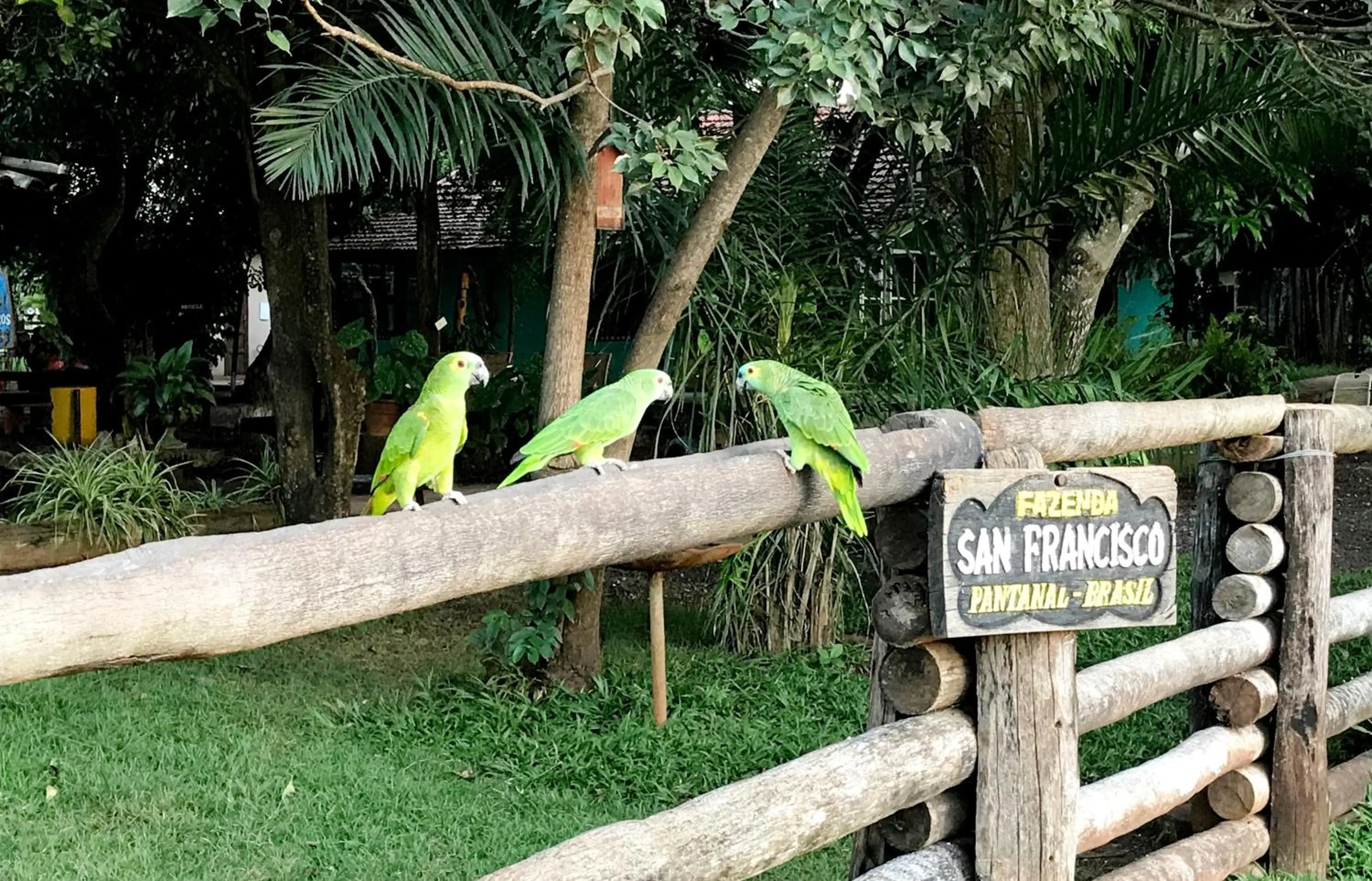 Fazenda San Francisco