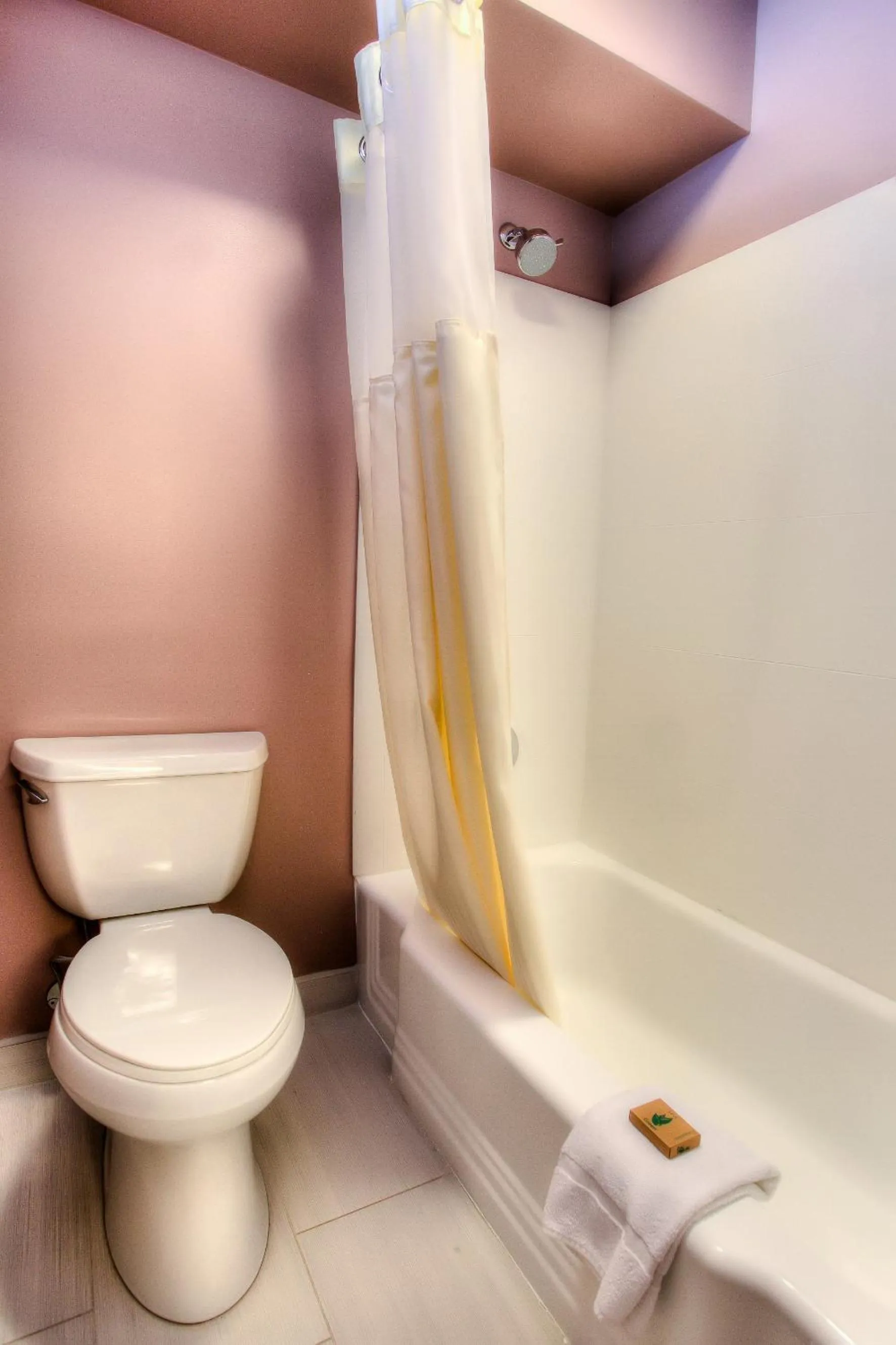 Toilet in The Beaucatcher, a Boutique Motel