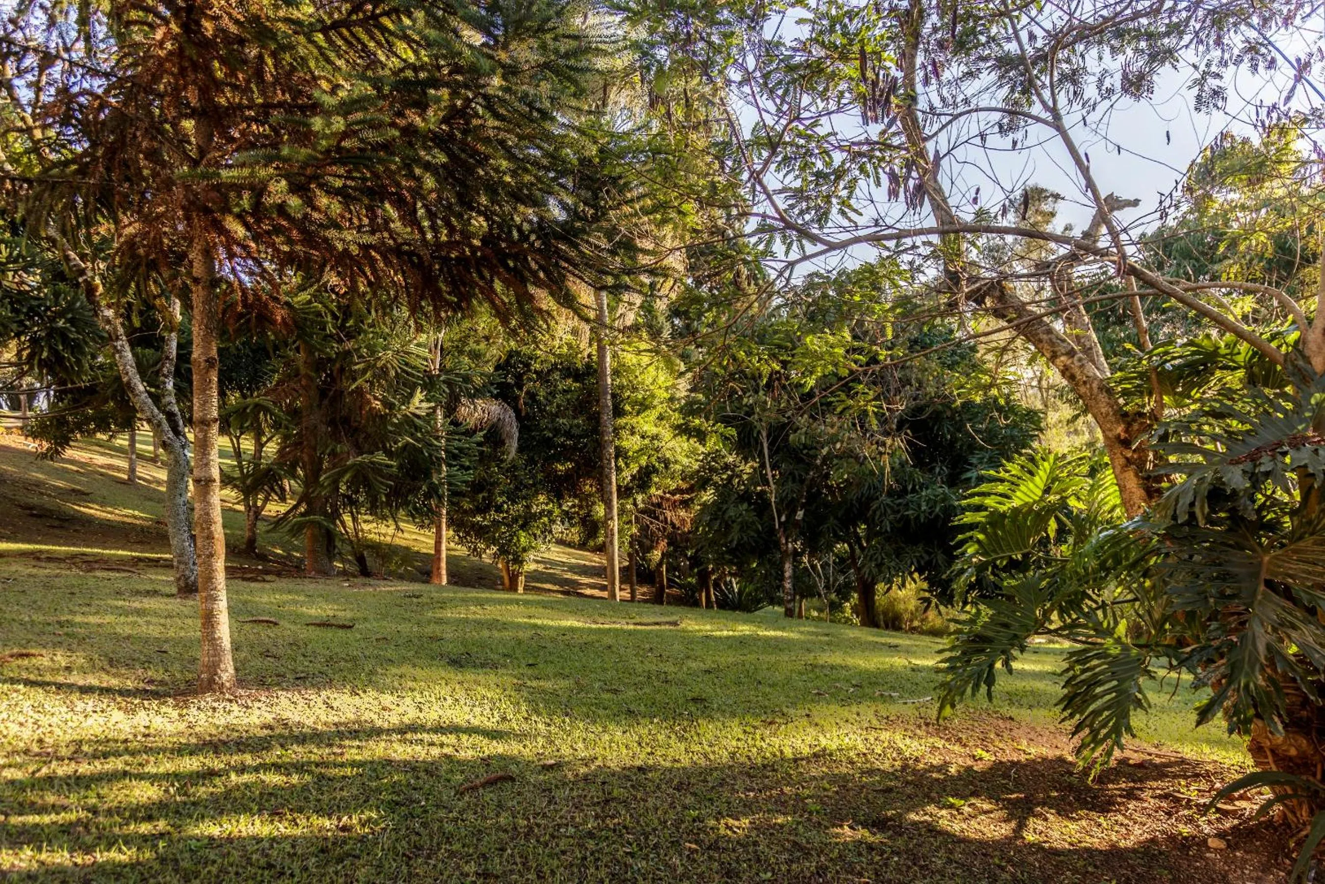 Garden in Grand Resort Serra Negra