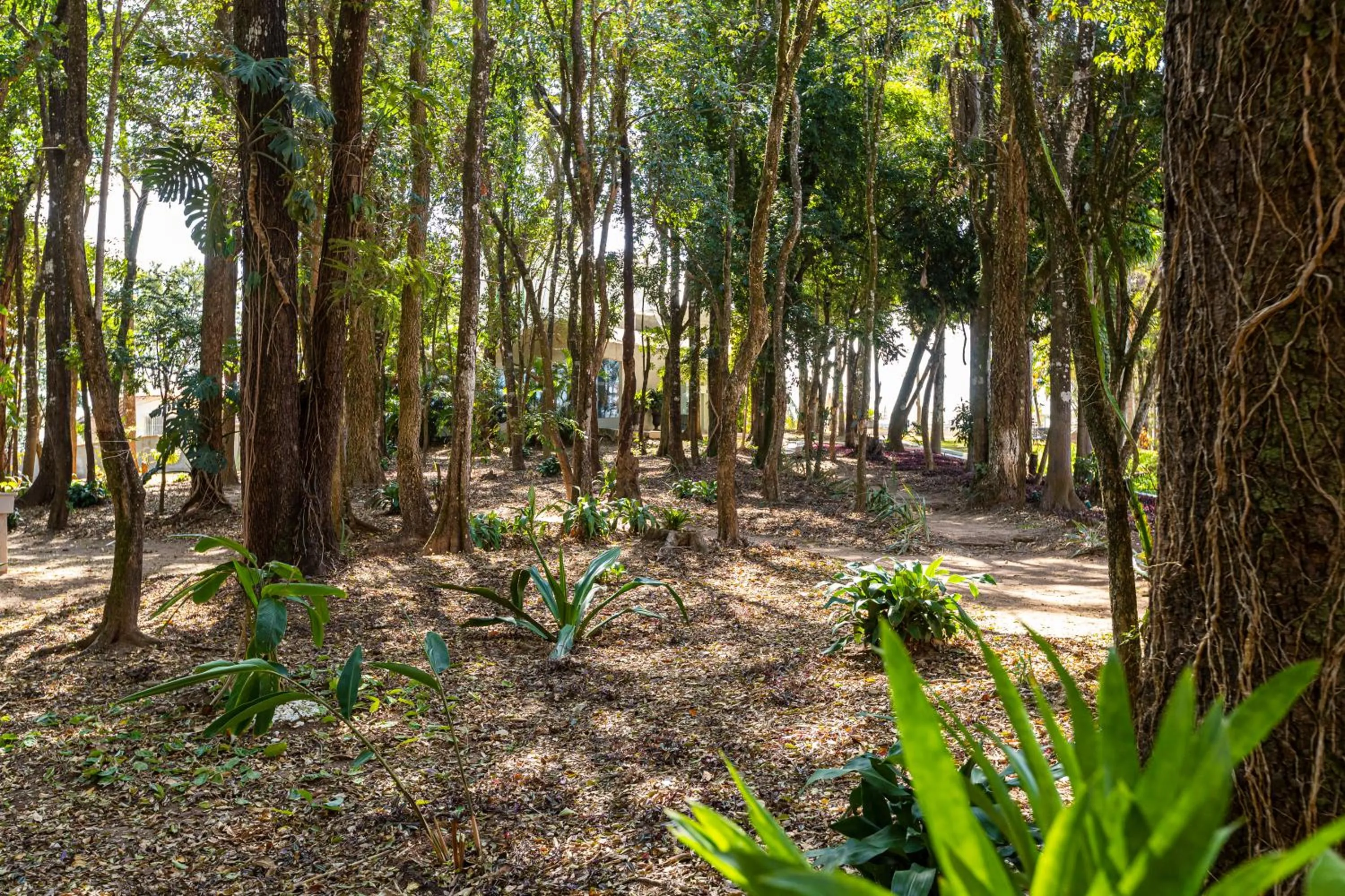 Garden in Grand Resort Serra Negra