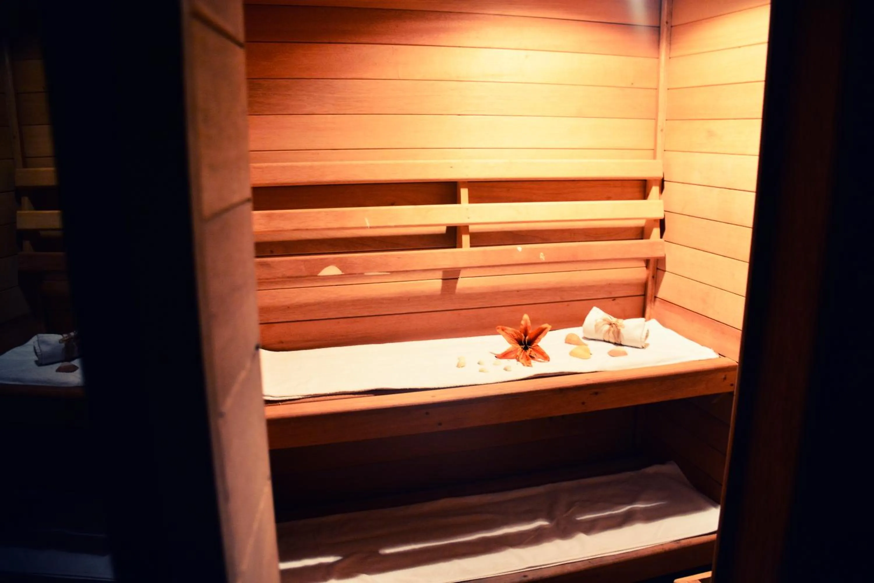 Spa and wellness centre/facilities in Hotel San Carlos Tequisquiapan