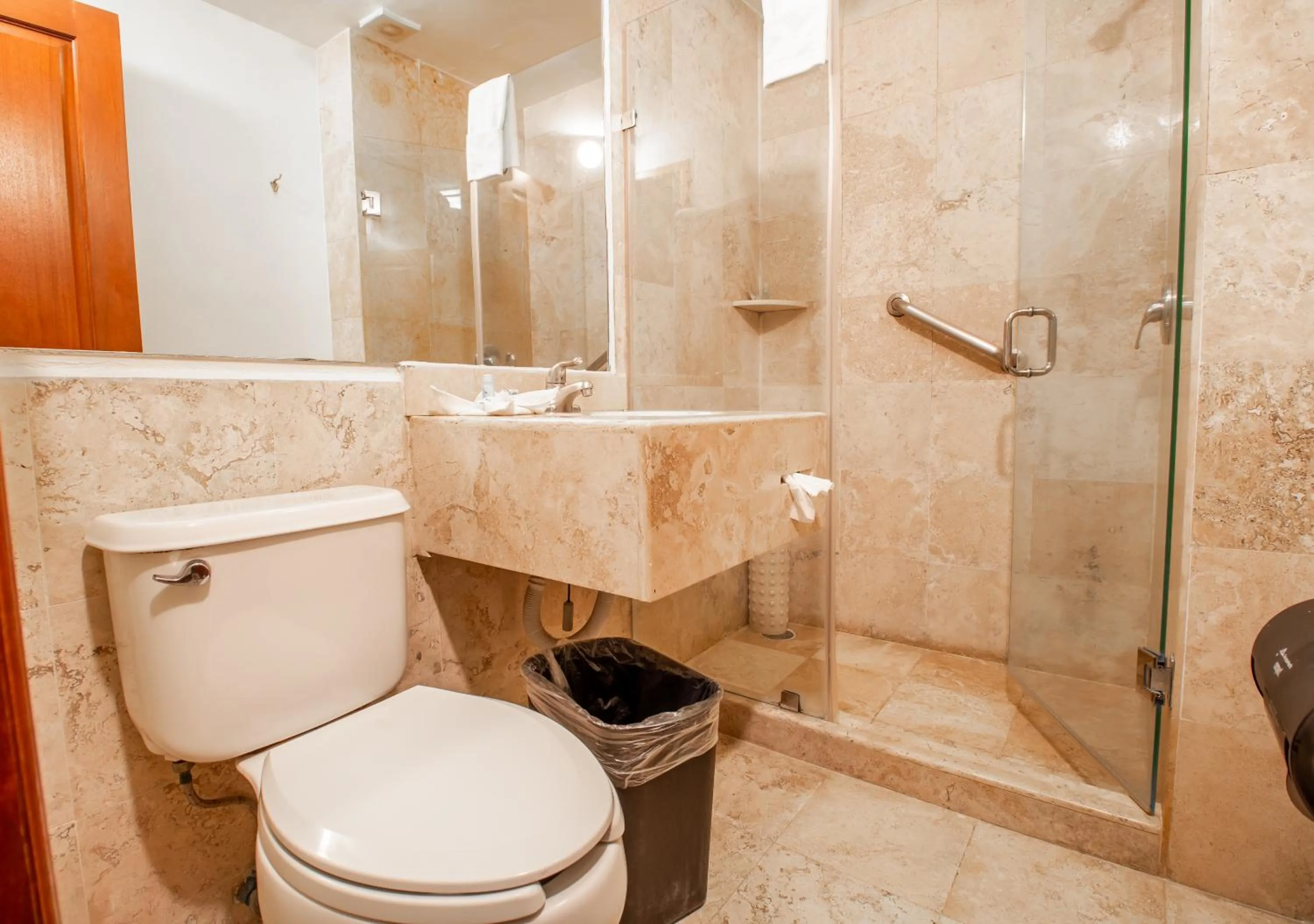 Shower in Hecthorny San Carlos Tequisquiapan, BW Signature Collection