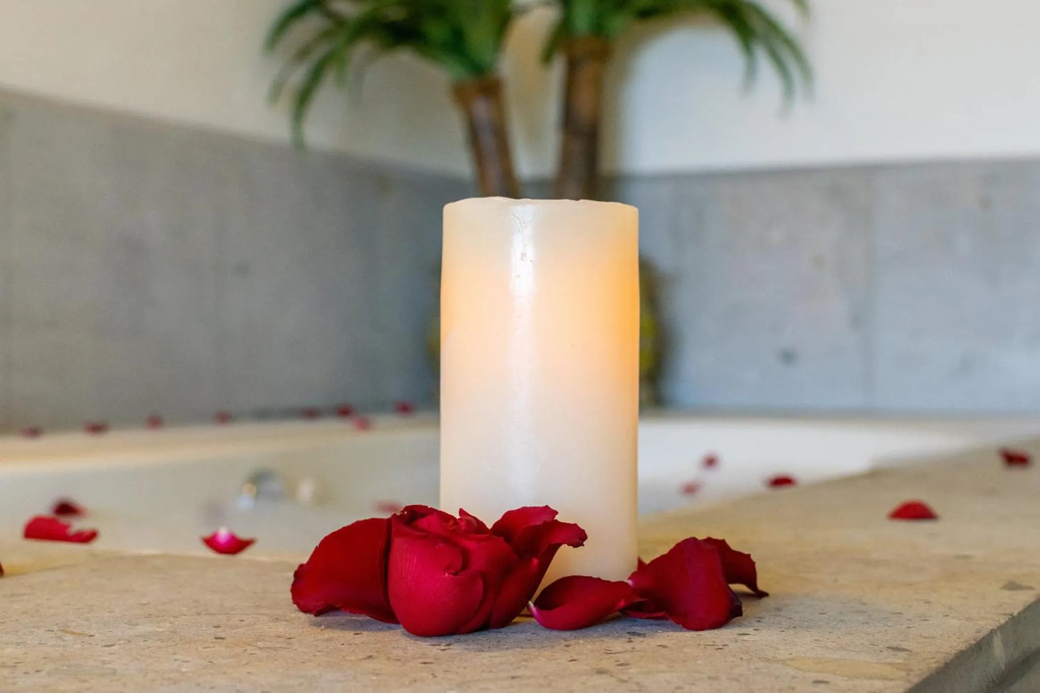 Hot Tub in Hotel San Carlos Tequisquiapan