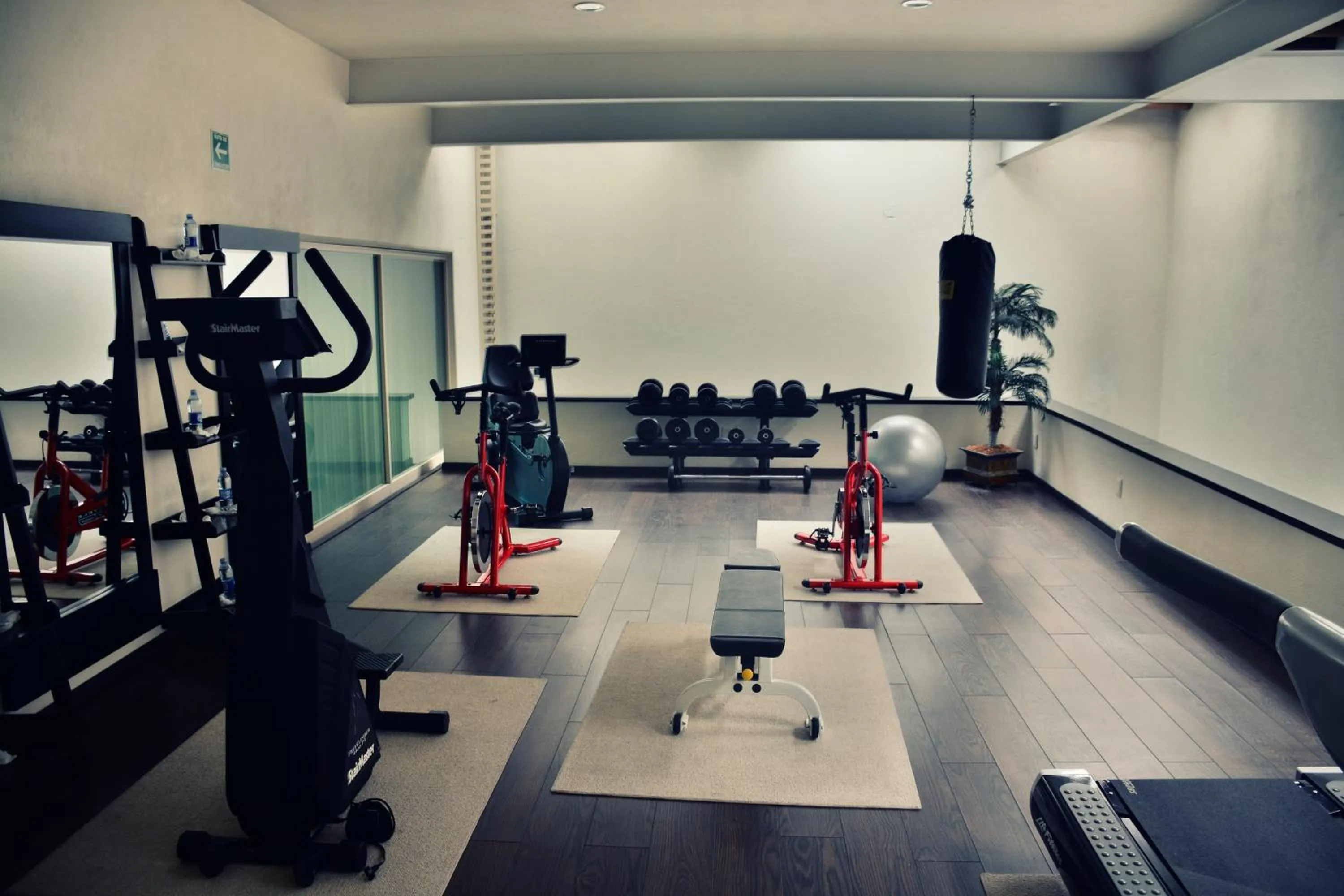 Fitness centre/facilities in Hotel San Carlos Tequisquiapan