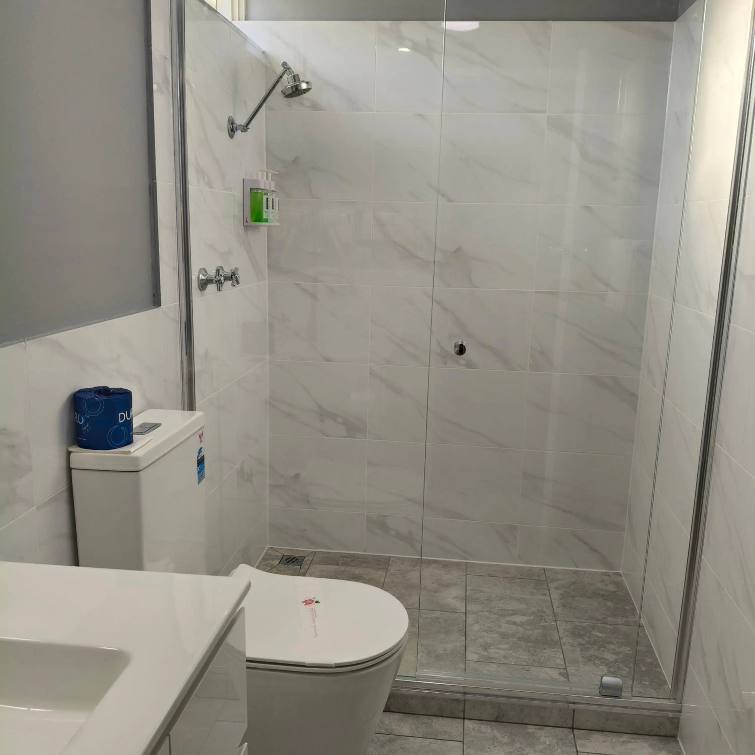 Bathroom in Wangaratta Motor Inn