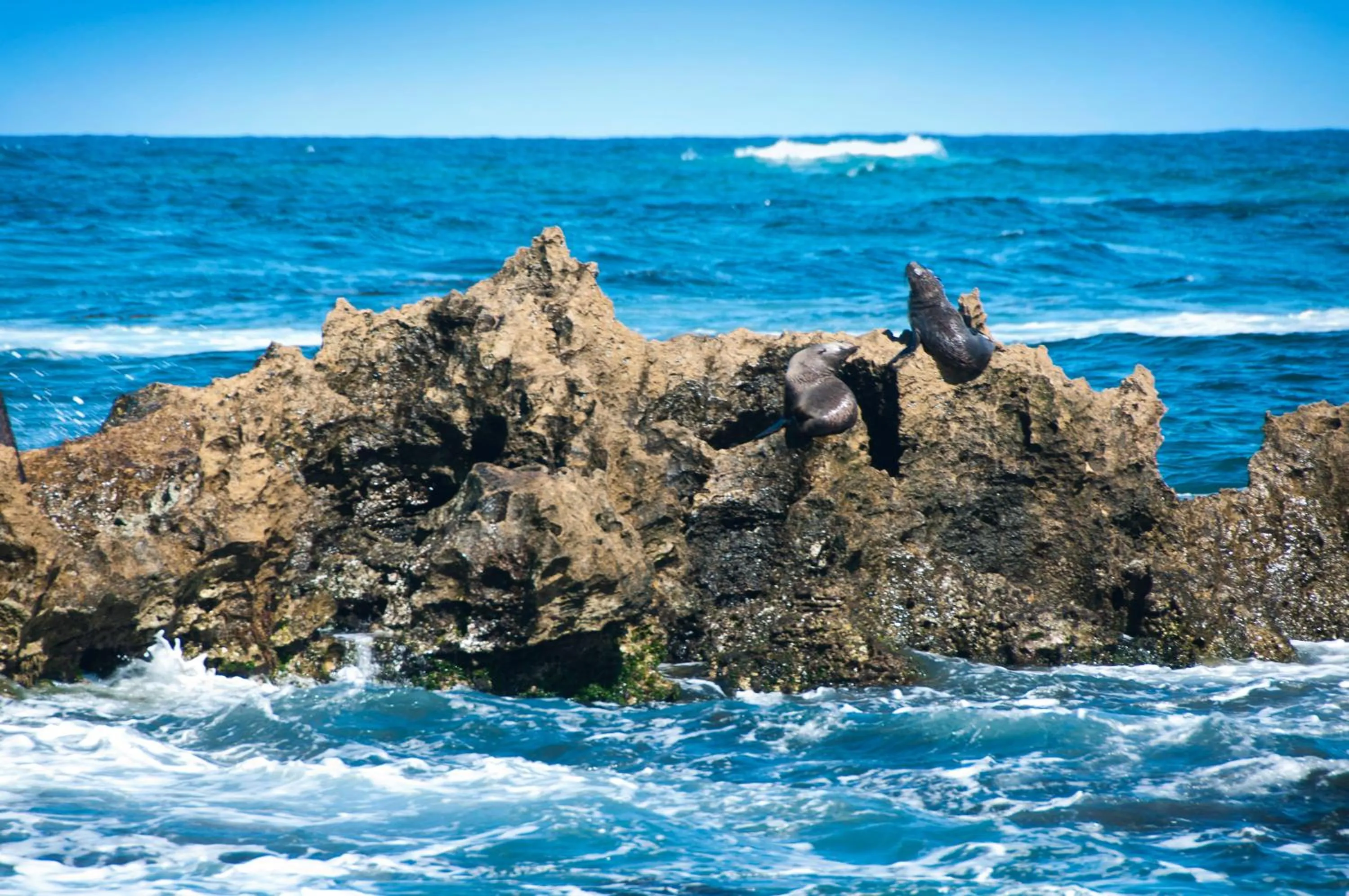 Area and facilities in Comfort Inn Robe