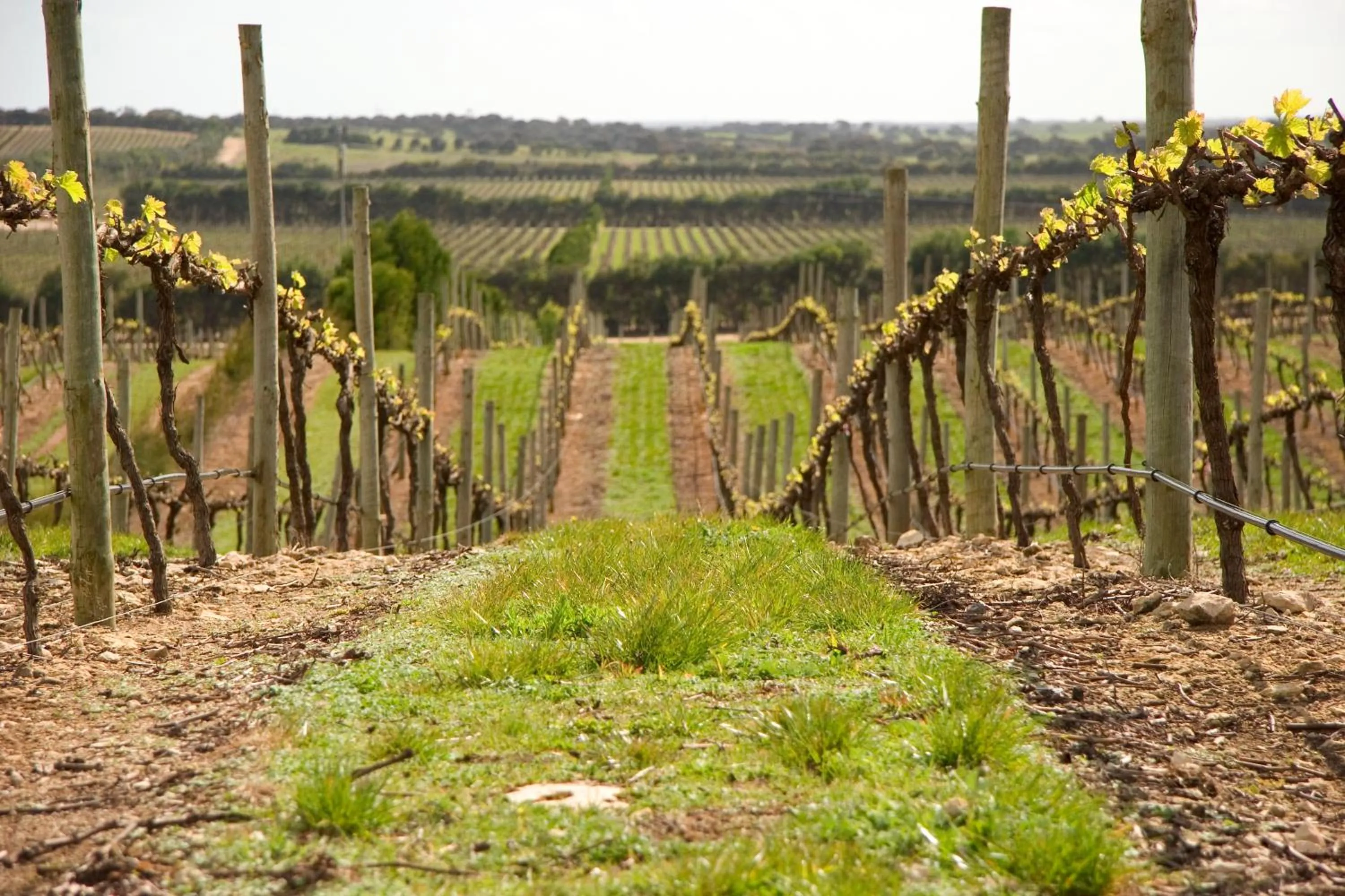 Area and facilities in Comfort Inn Robe