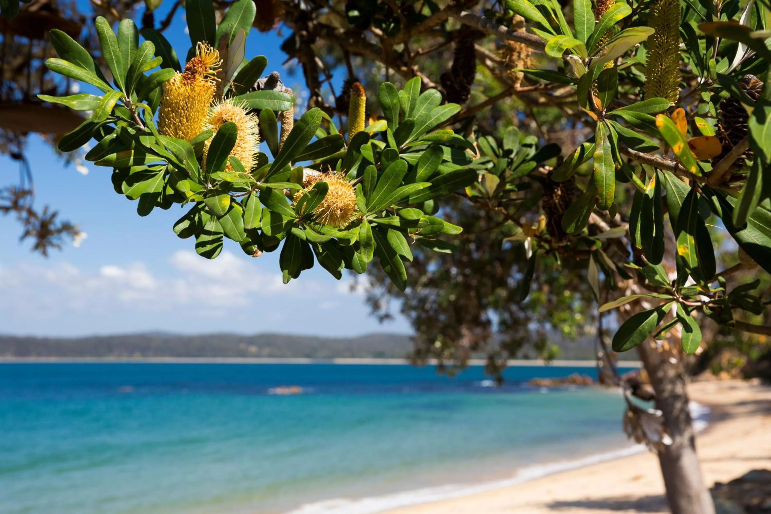 Sea view in Ingenia Holidays Eden Beachfront