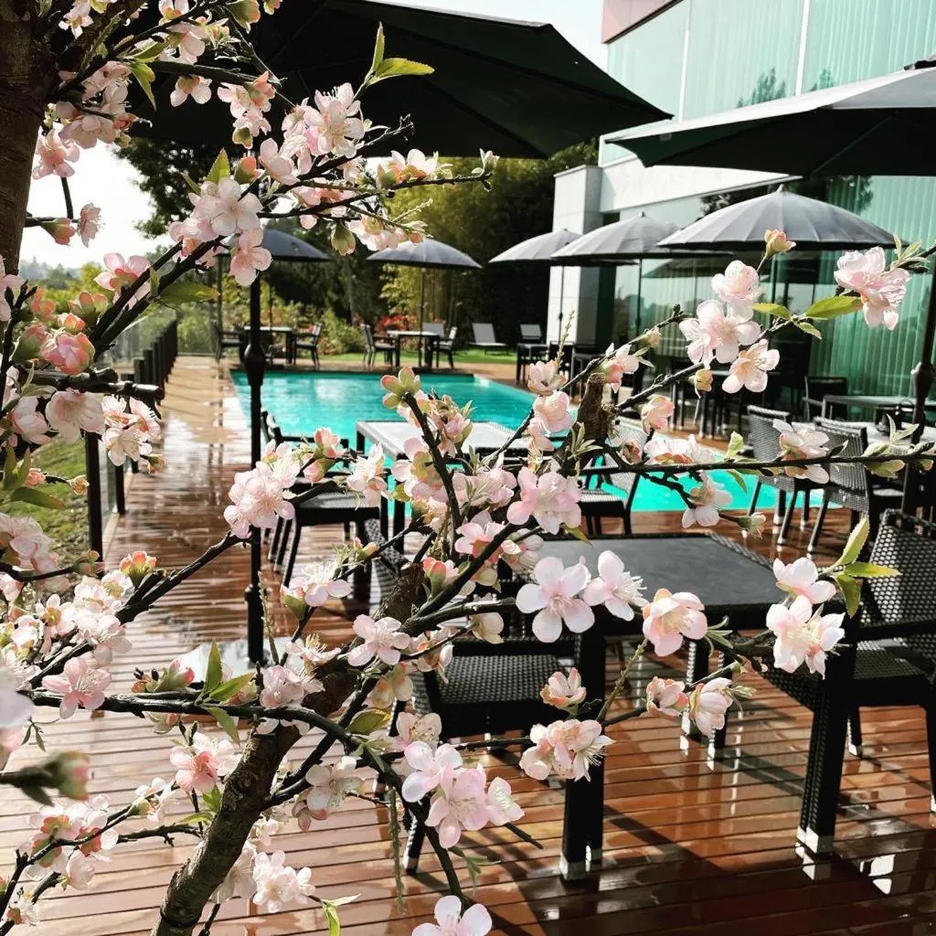 Swimming pool in Penafiel Park Hotel & Spa