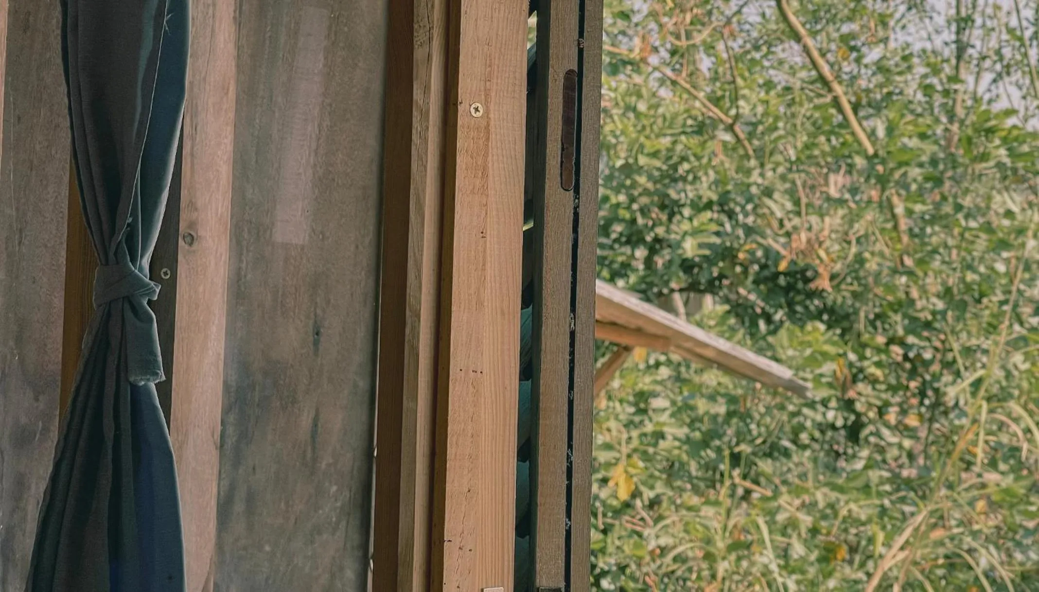 Spring in Midori Heritage Coffee Farm