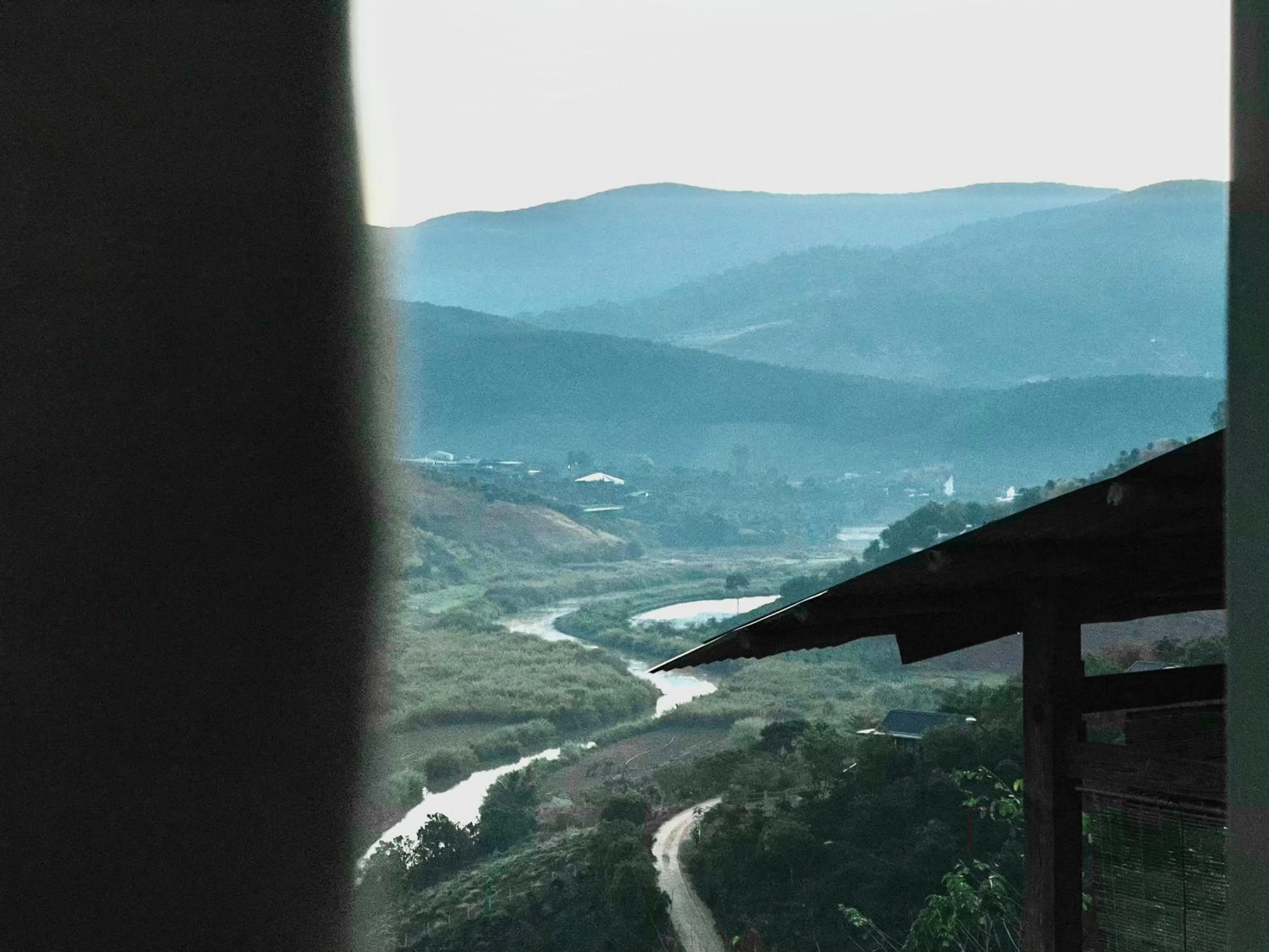 Natural landscape in Midori Heritage Coffee Farm