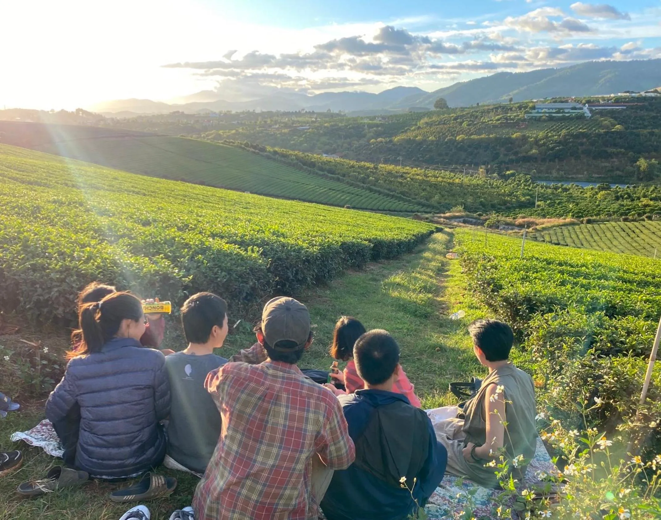 Natural landscape in Midori Heritage Coffee Farm