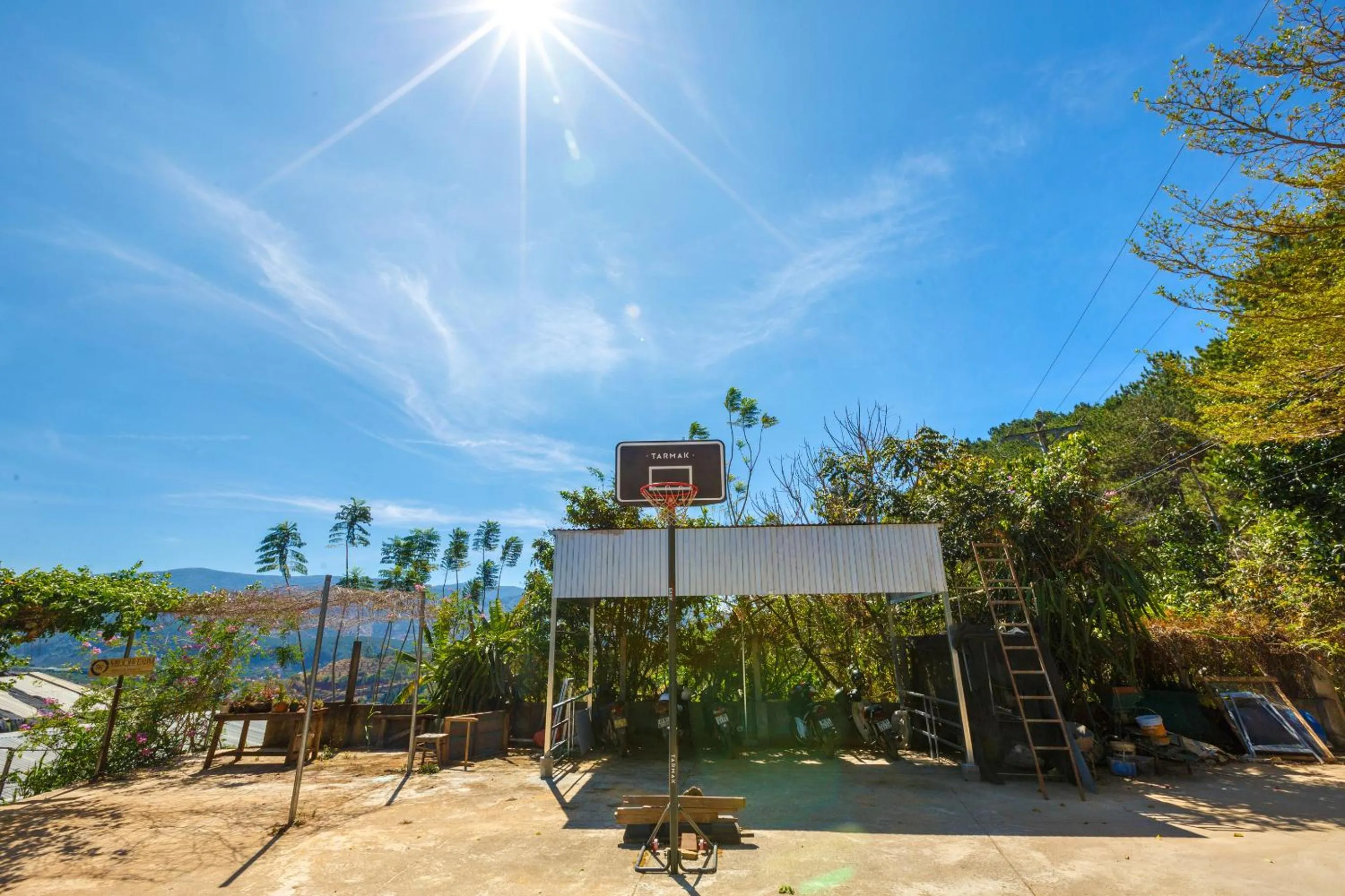 Natural landscape in Midori Heritage Coffee Farm