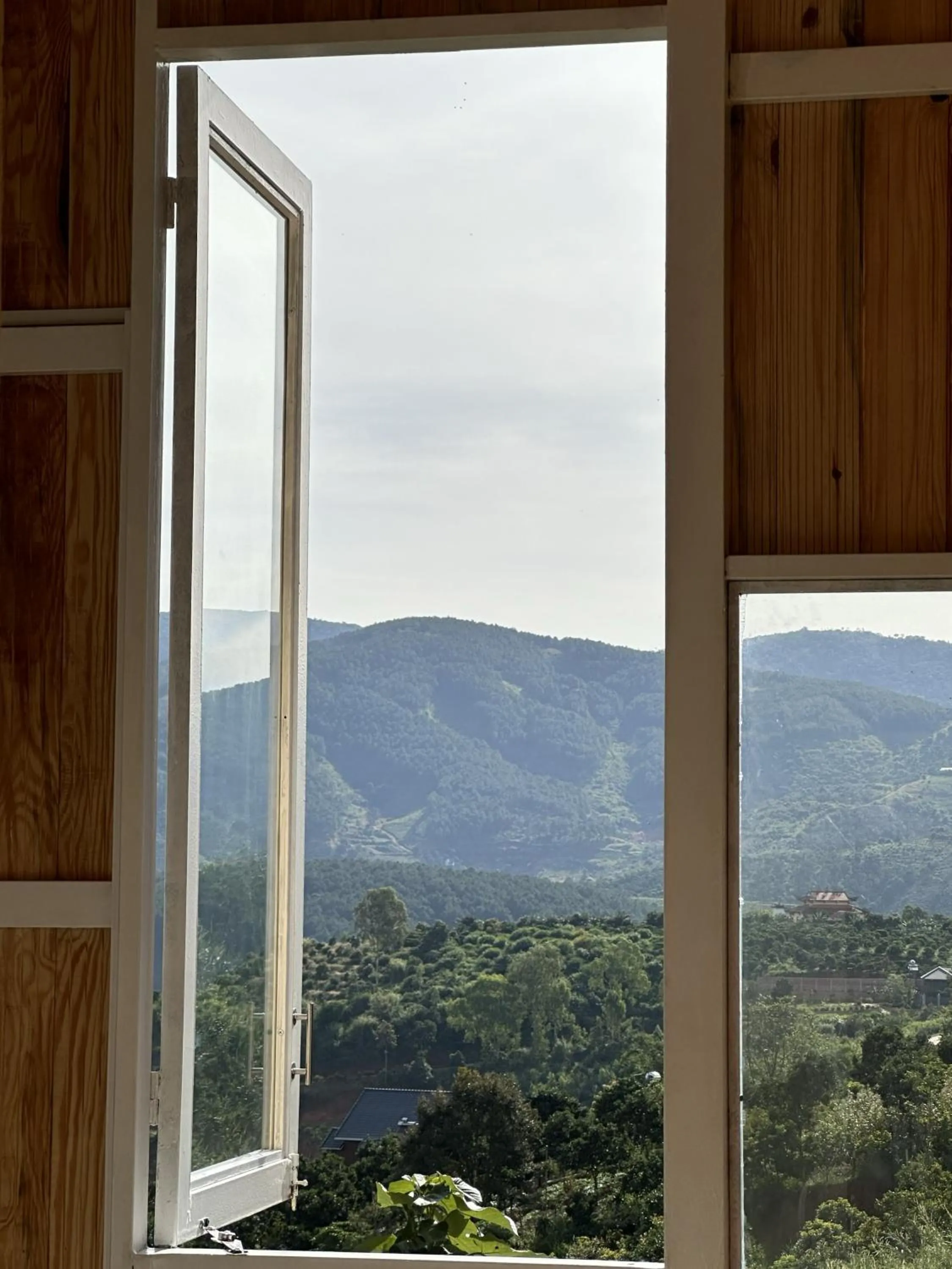 Natural landscape in Midori Heritage Coffee Farm
