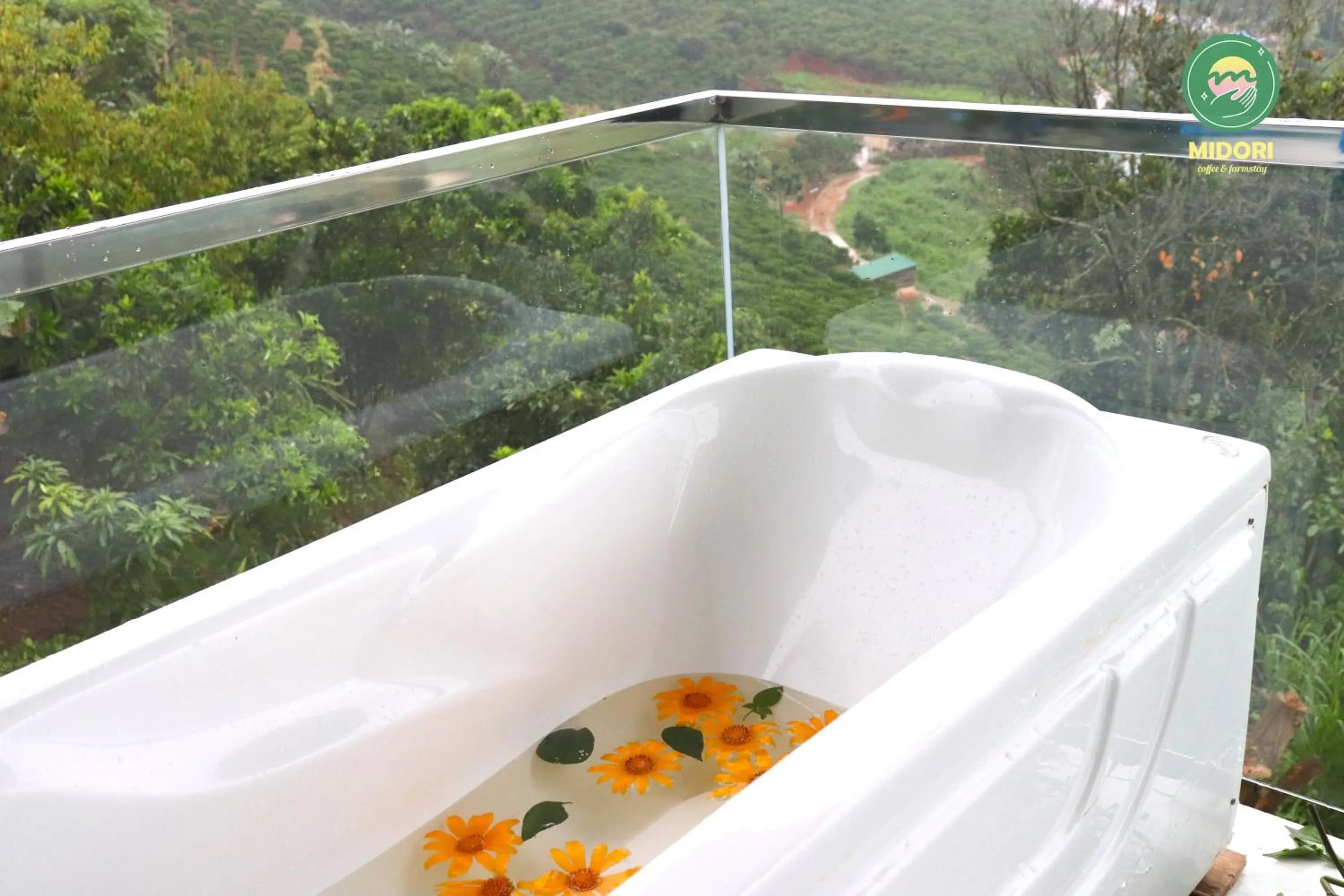 Day in Midori Heritage Coffee Farm